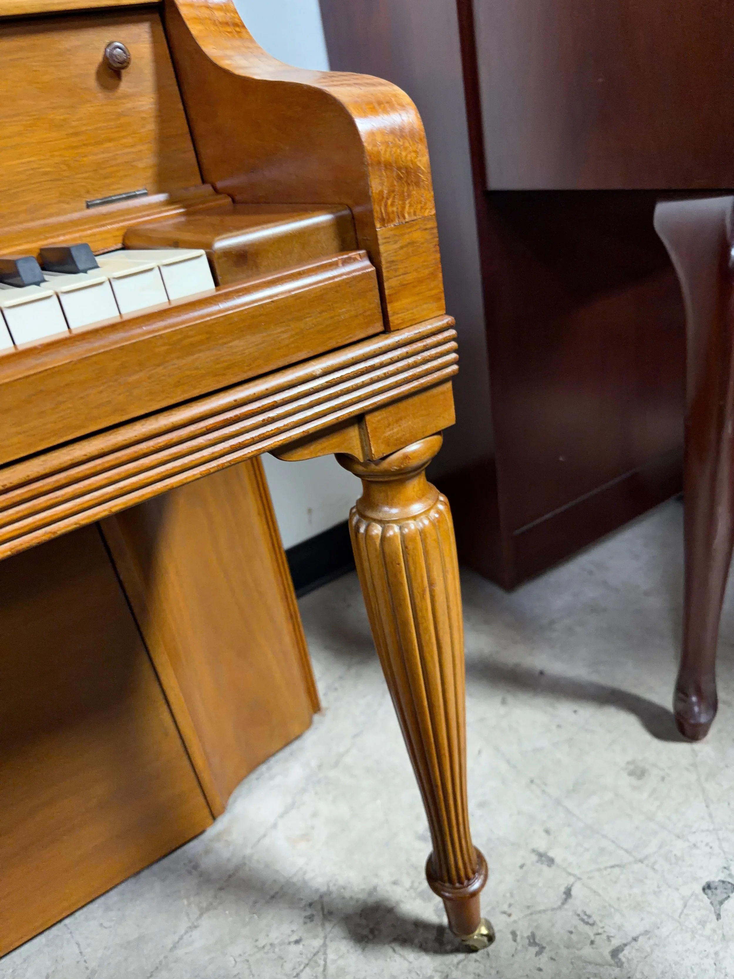 STEiN 100 - 1 (5).jpeg