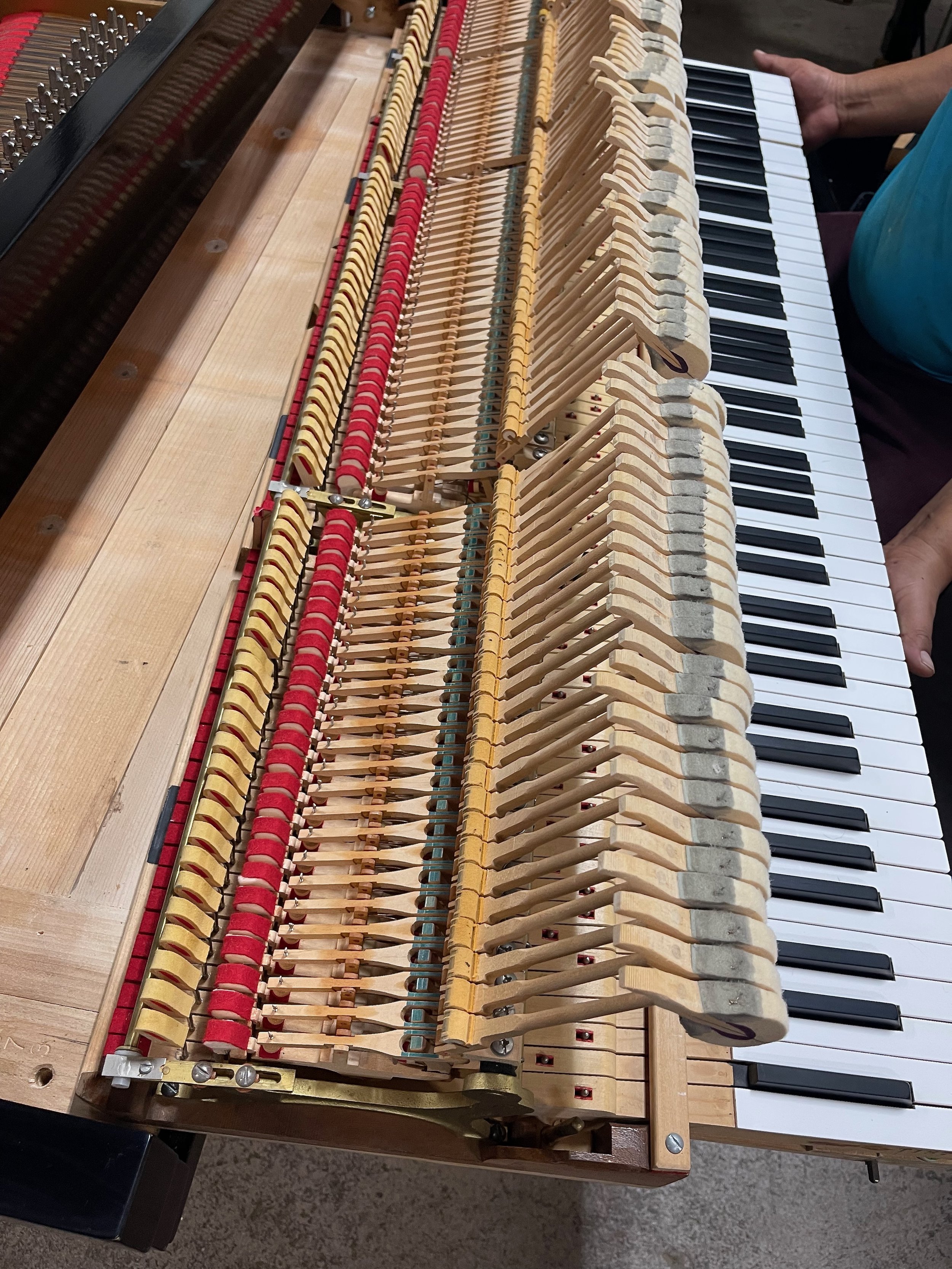 molfetta m - 1 (9).jpeg