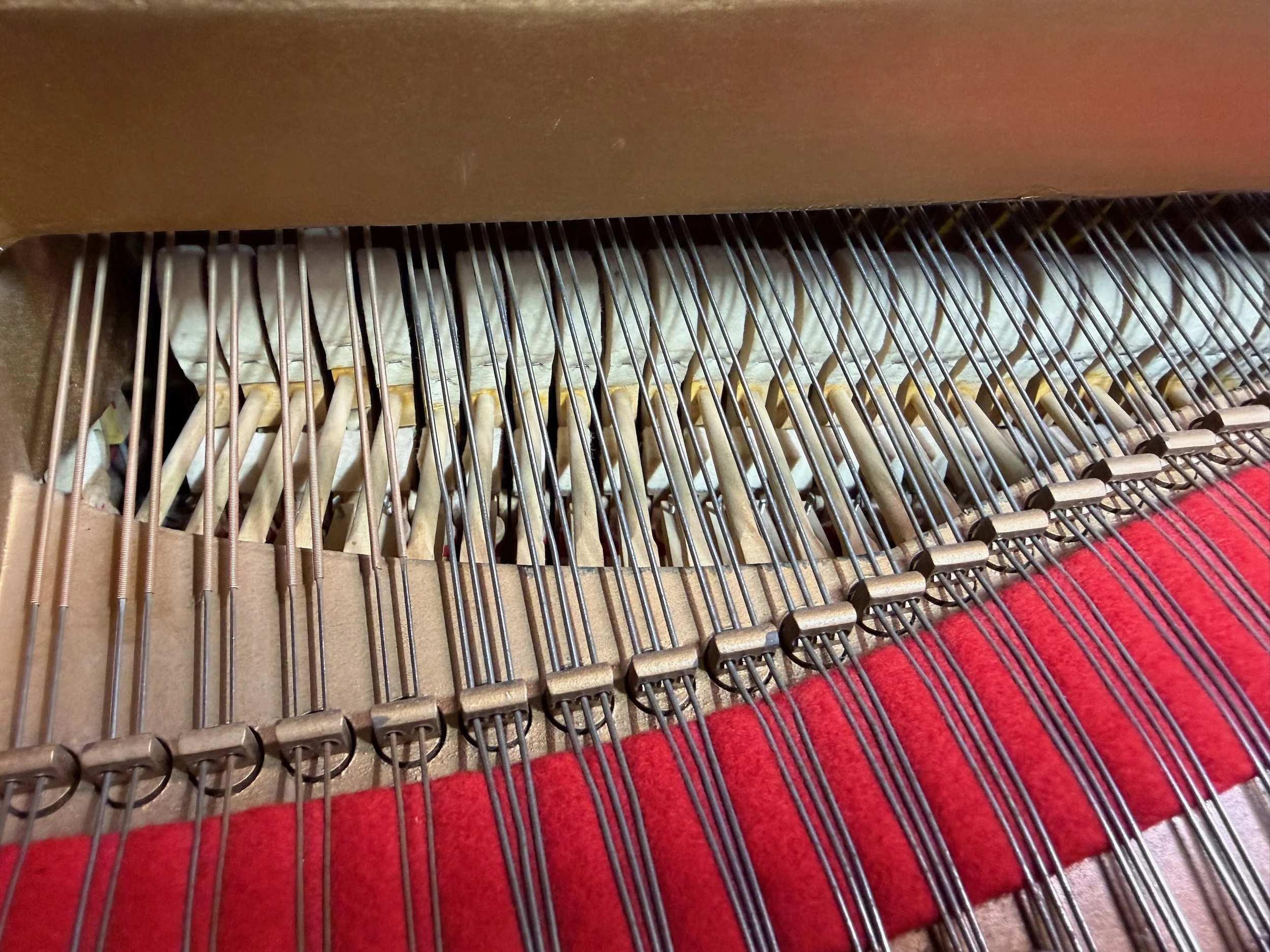 A SPERGAL - 1 (15).jpeg