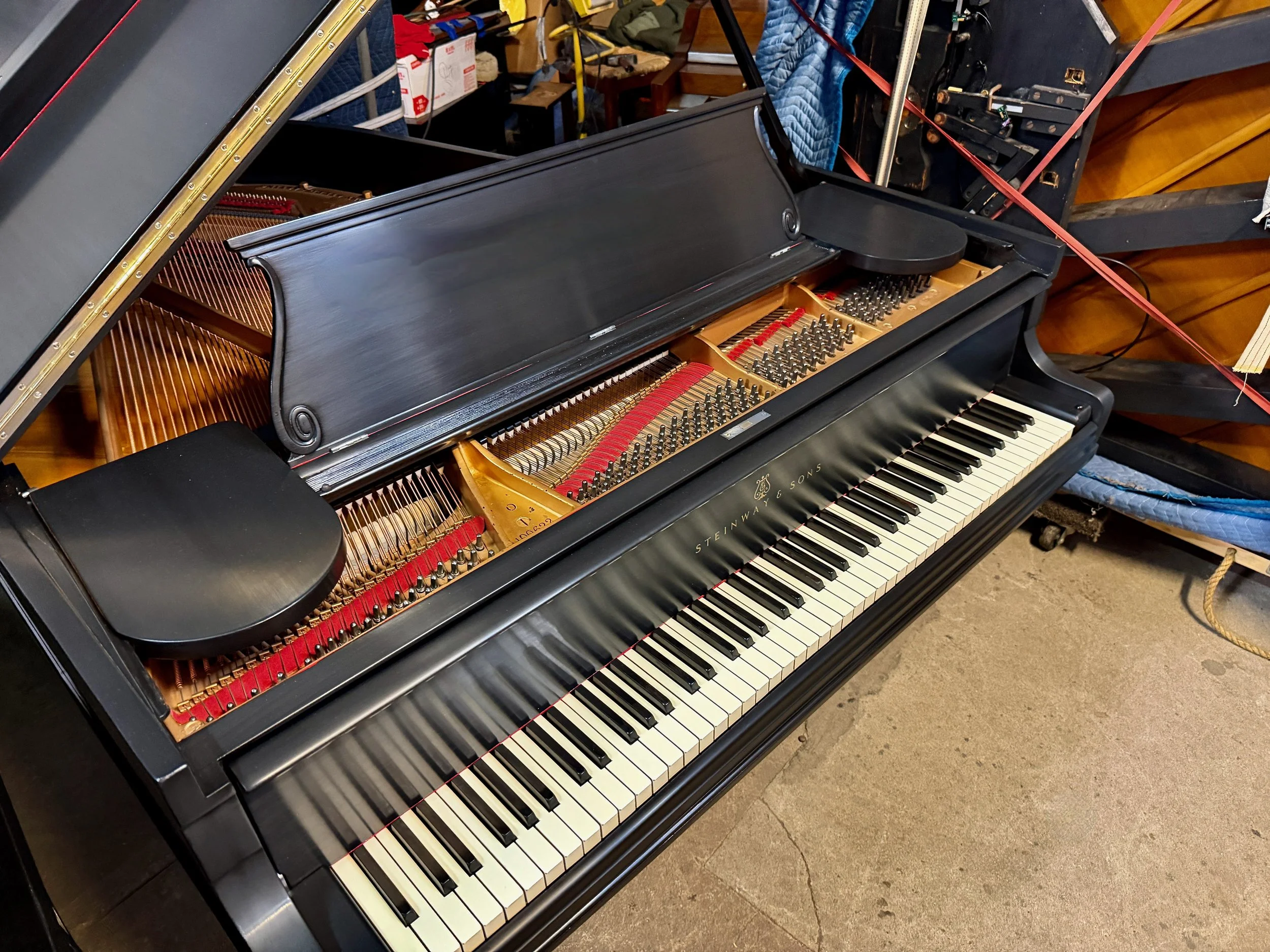 O SCHWARTZ - 1 (2).jpeg