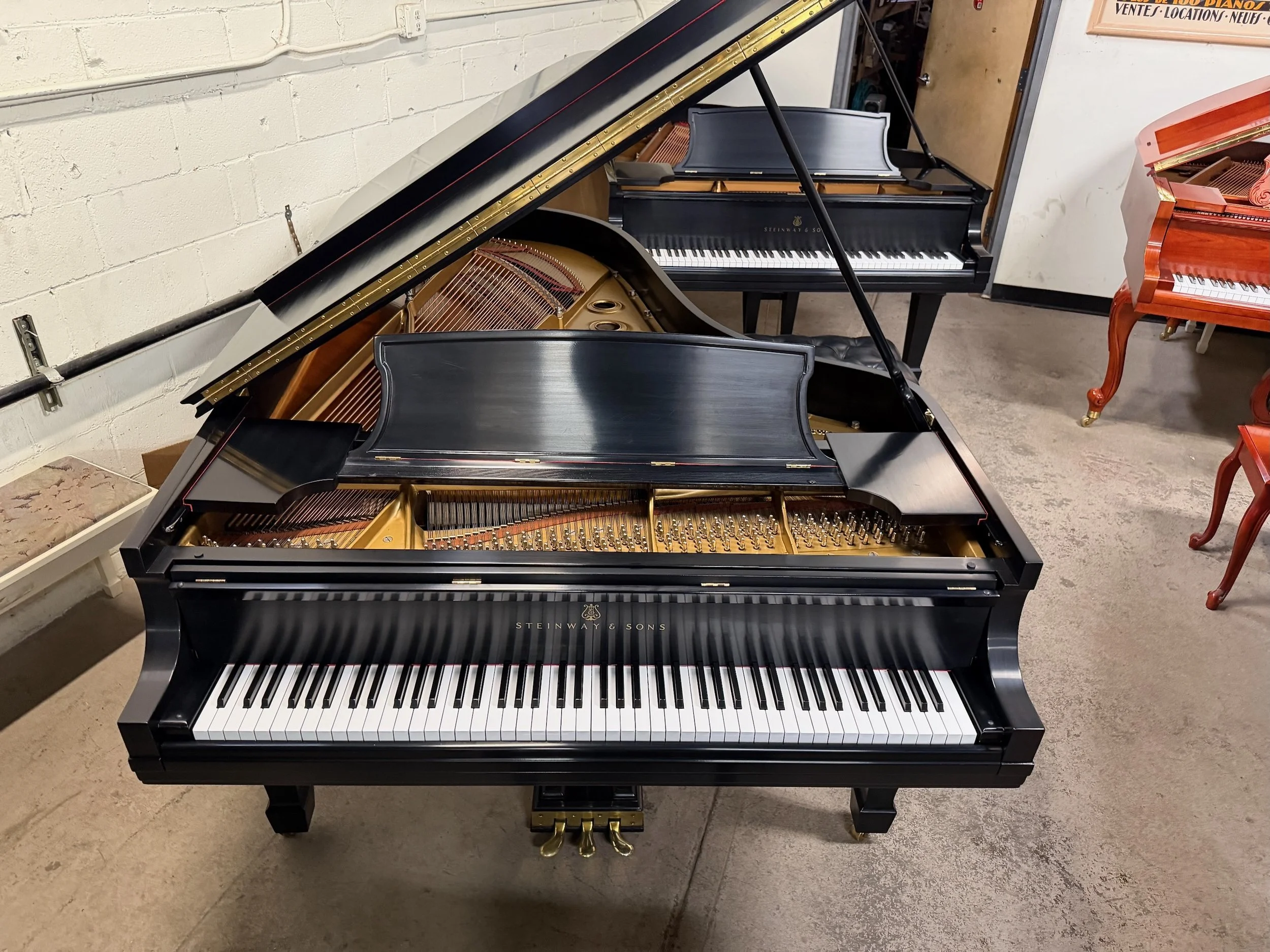 B Geffner - 1 (5).jpeg