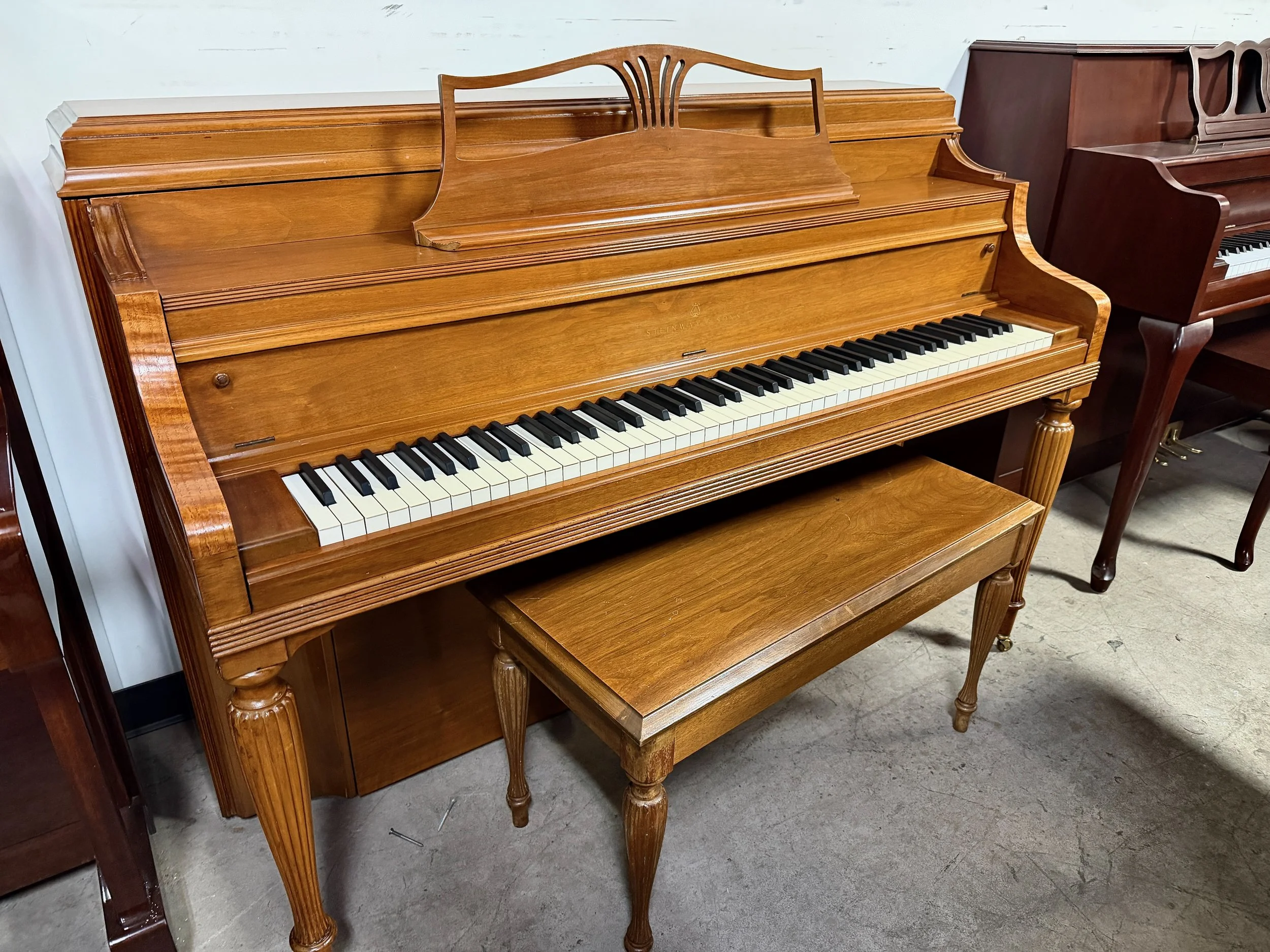 STEiN 100 - 1 (7).jpeg