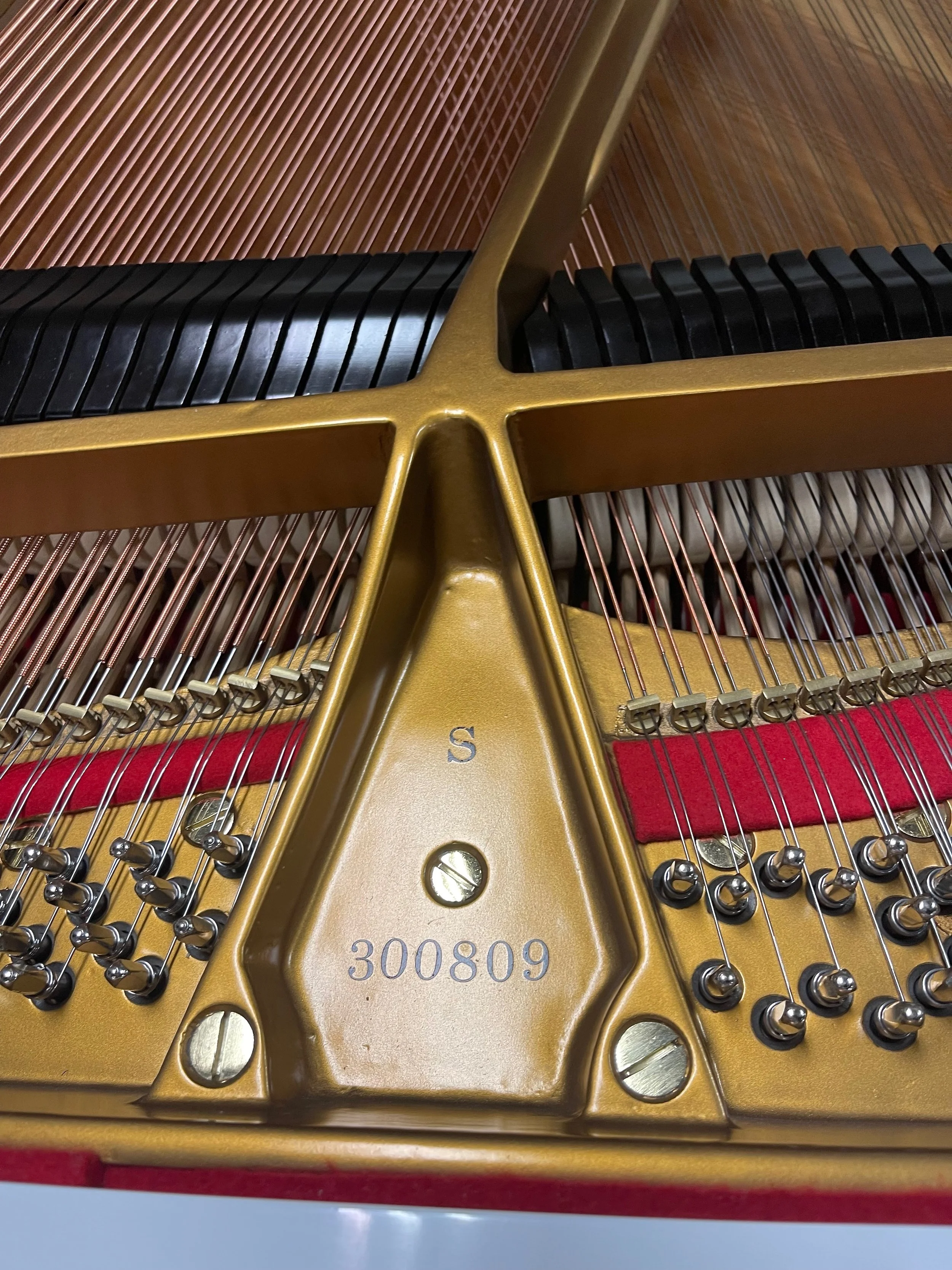 S WHITE - 1 (11).jpeg