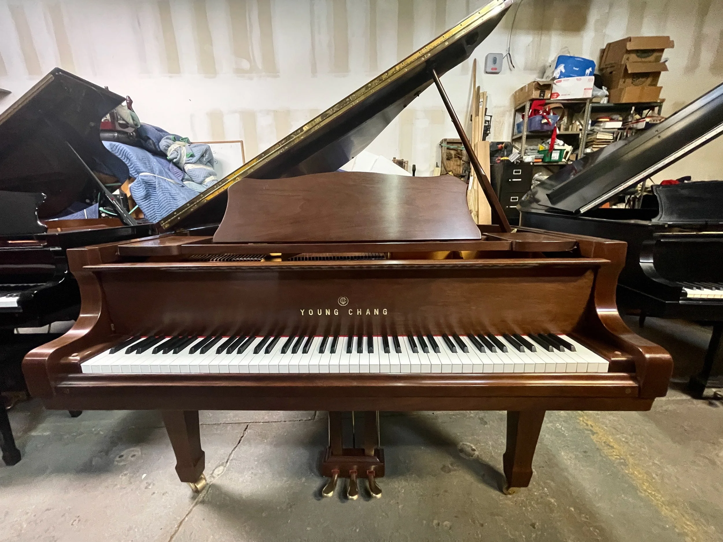 YC 157 WAL - 1 (8).jpeg