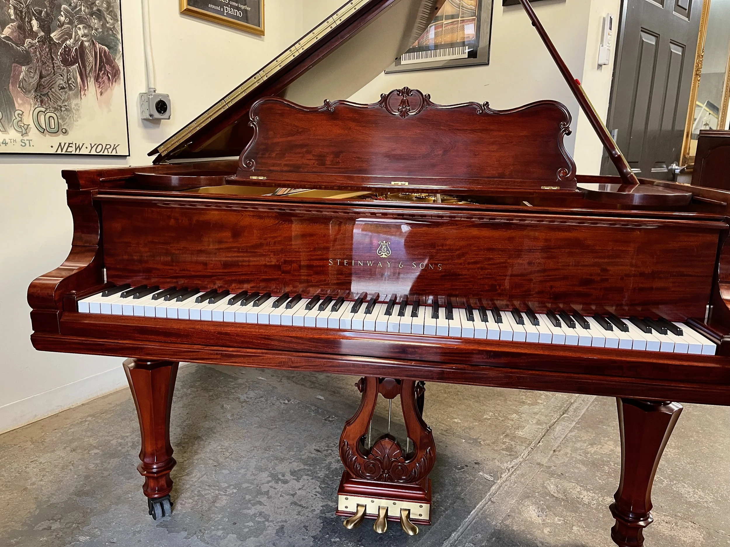 A TULIP - 1 (3).jpeg