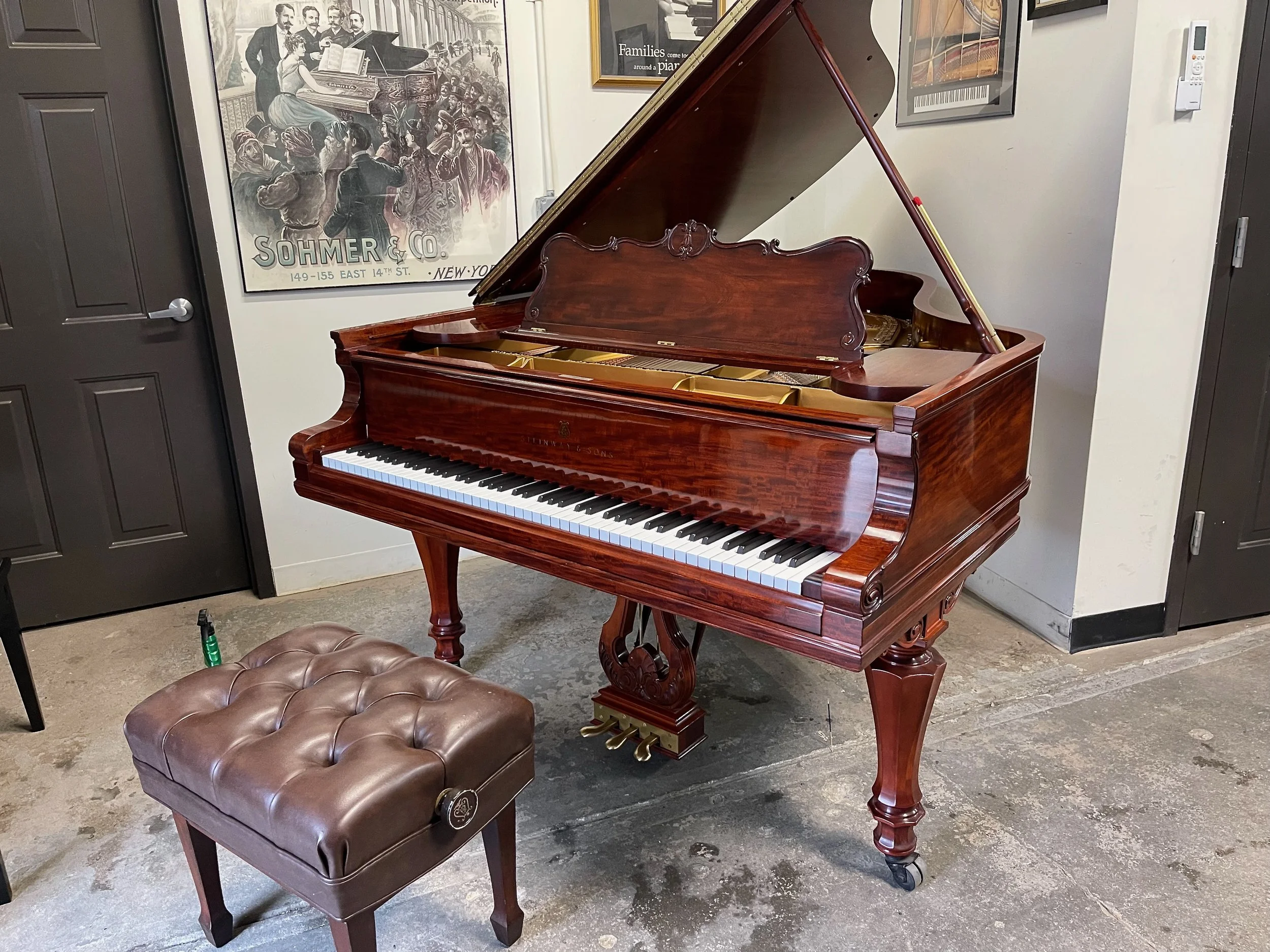 a tulip - 1 (8).jpeg