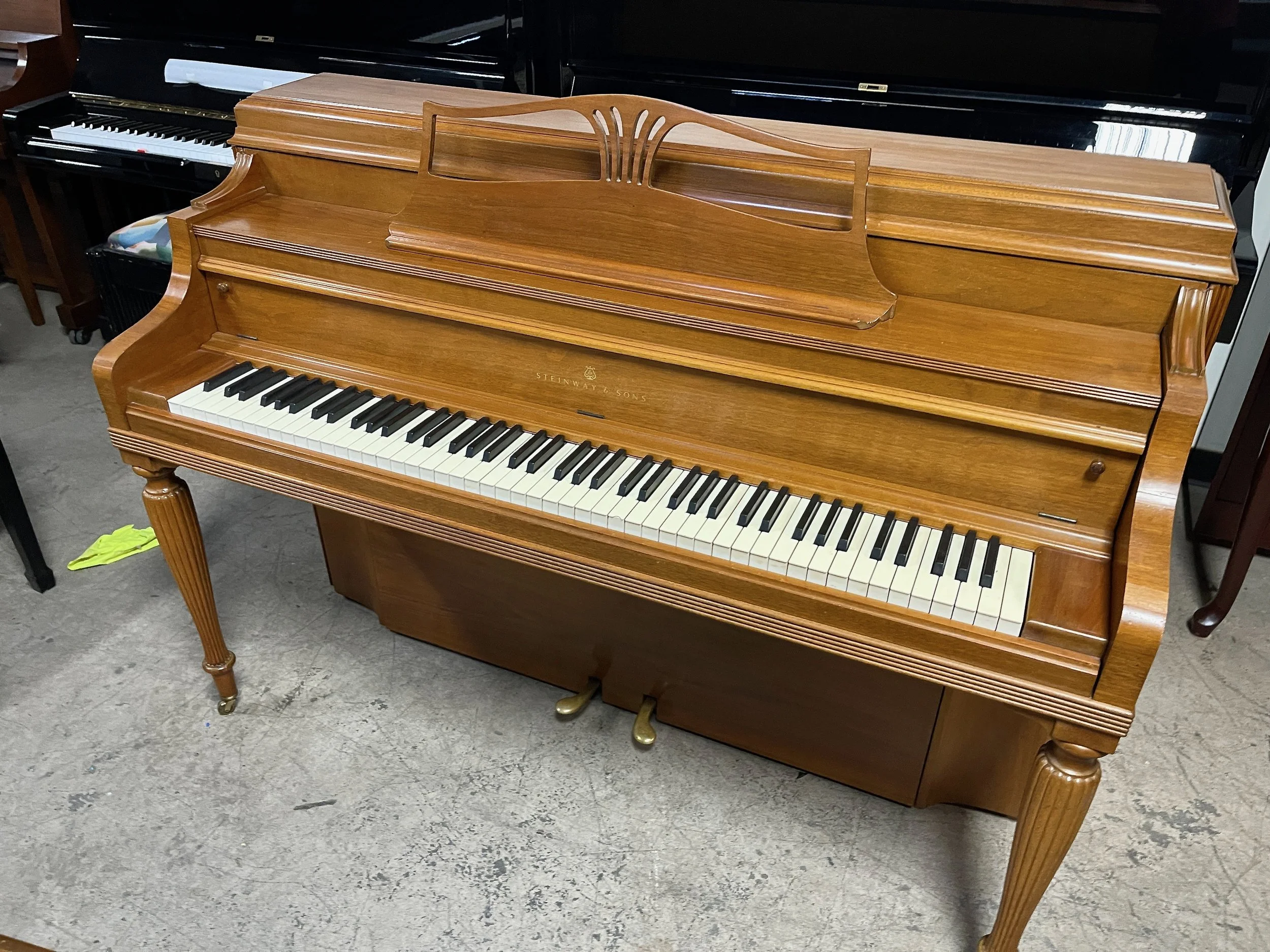 STEIN CON W - 1.jpeg