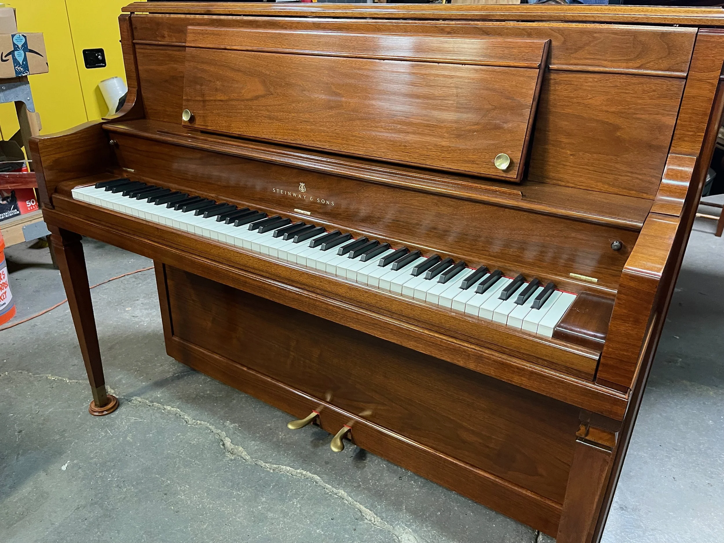 STEIN W U - 1 (2).jpeg