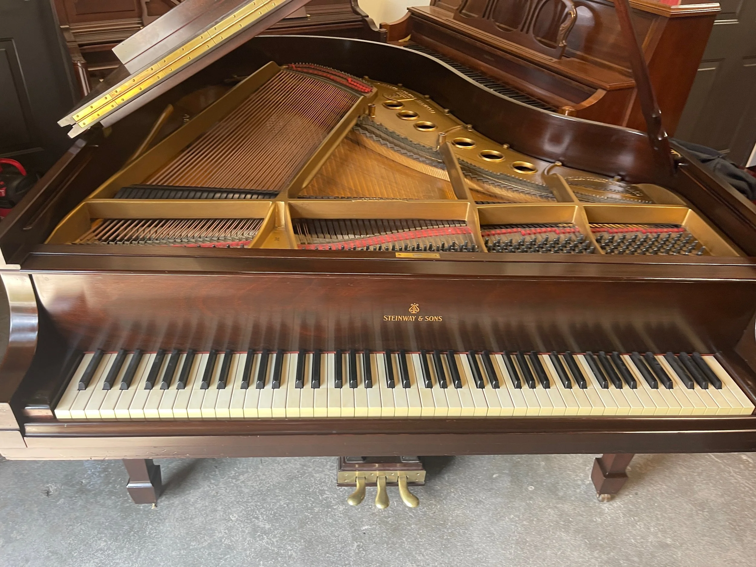 M MAHG VID - 1 (7).jpeg