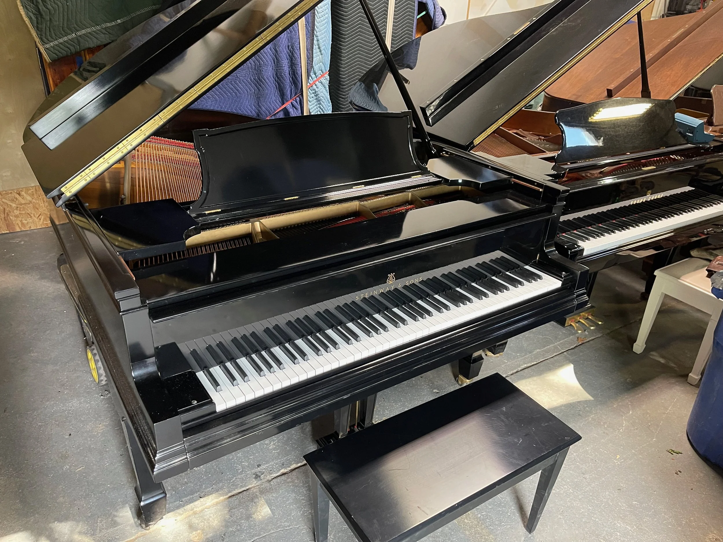 STeiNwAY PLAYER - 1 (2).jpeg