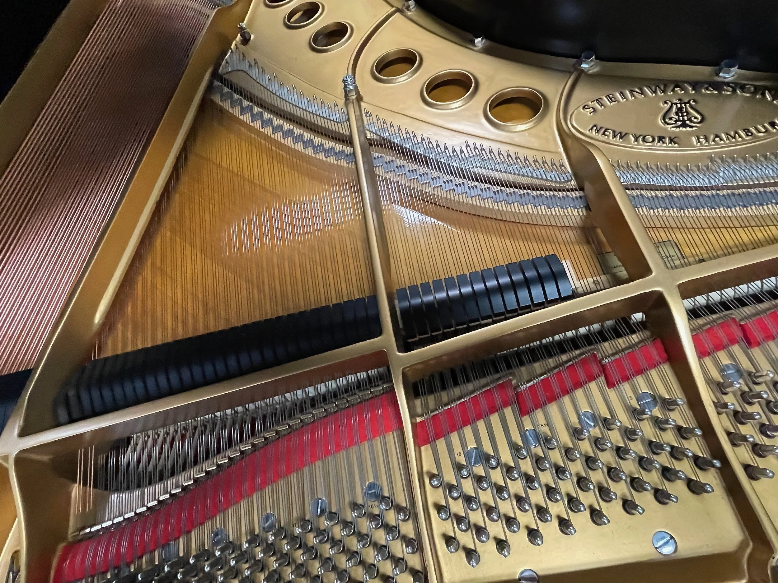 molfetta m - 1 (12).jpeg