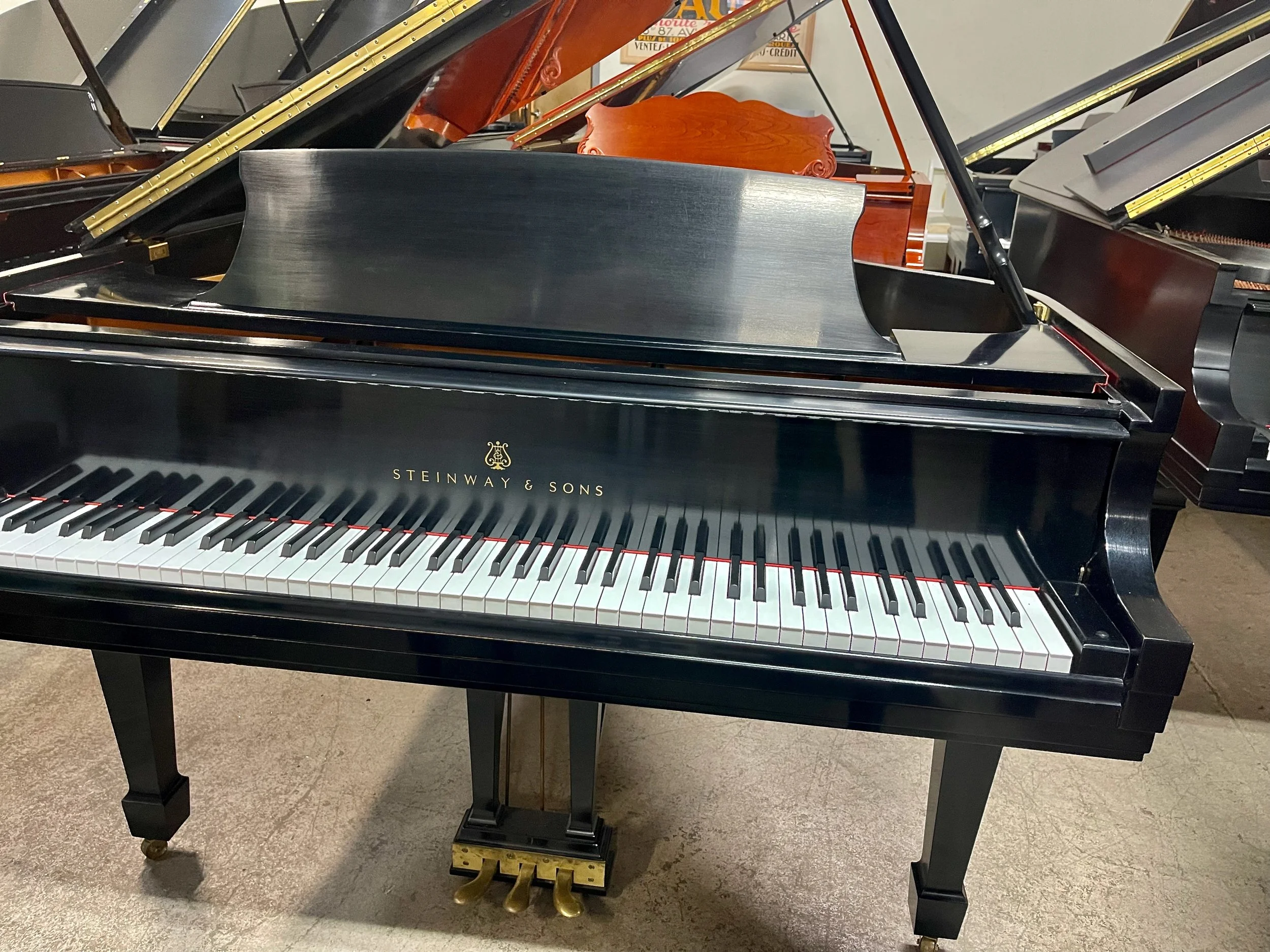 molfetta m - 1 (7).jpeg