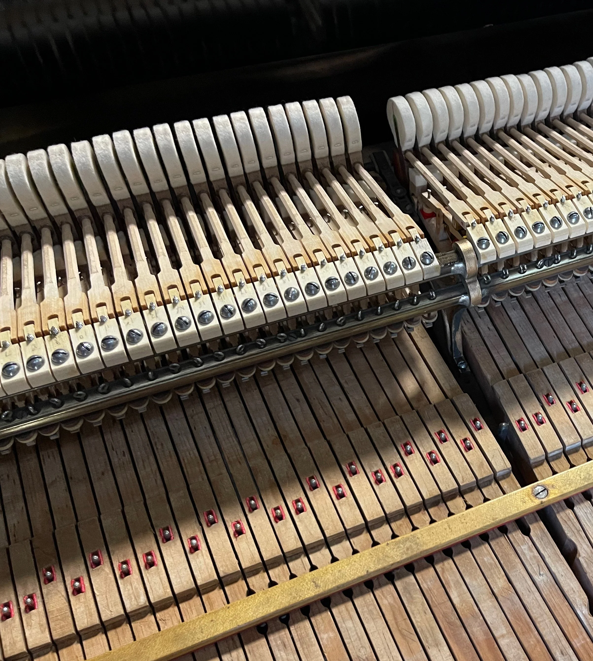 Steinway player - 1 (1).jpeg