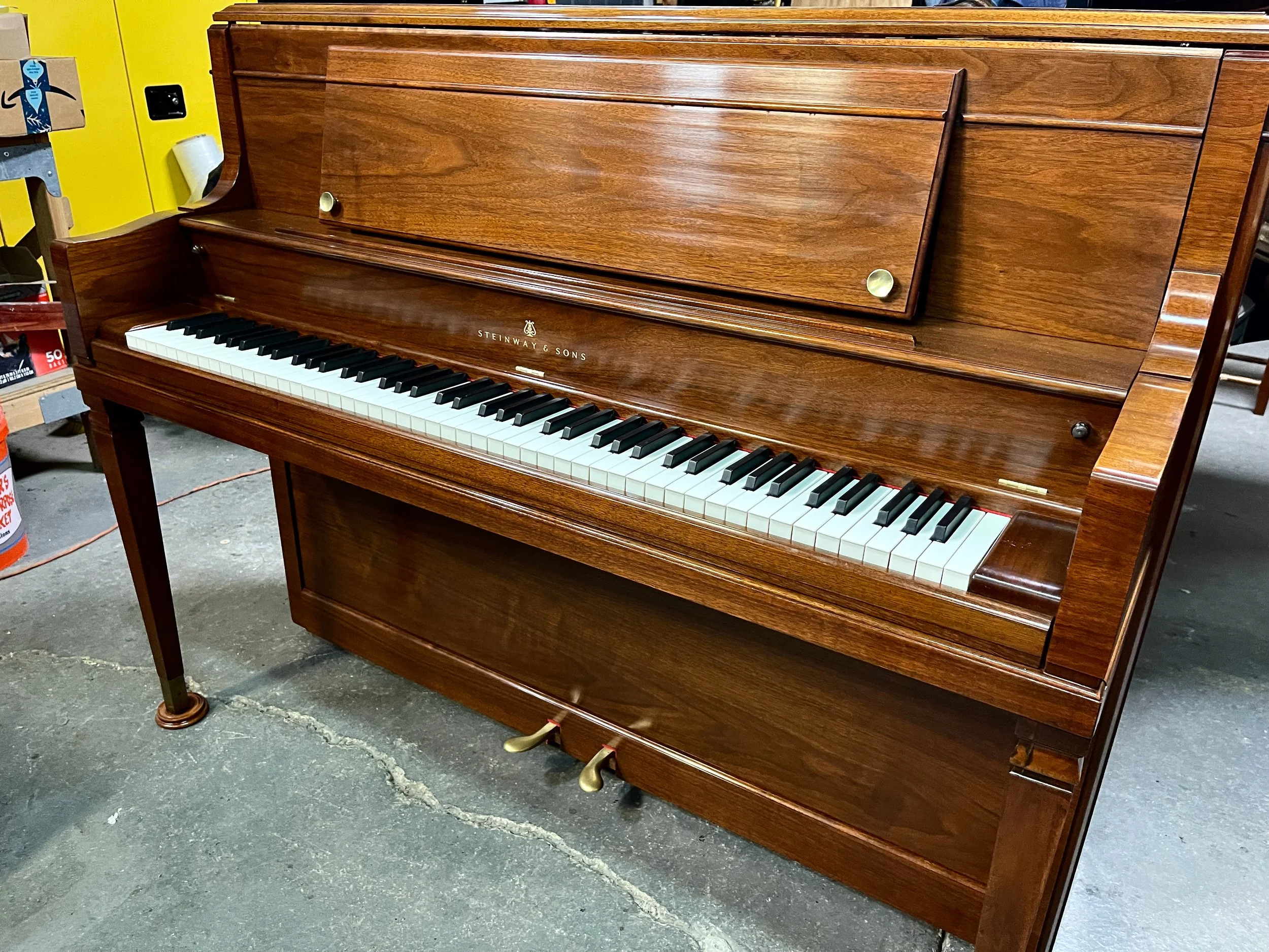 STEIN W U - 1 (4).jpeg