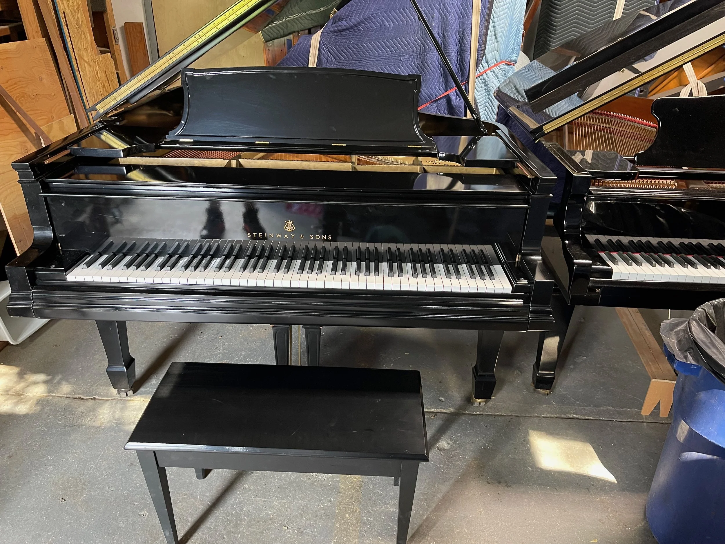 STeiNwAY PLAYER - 1 (3).jpeg