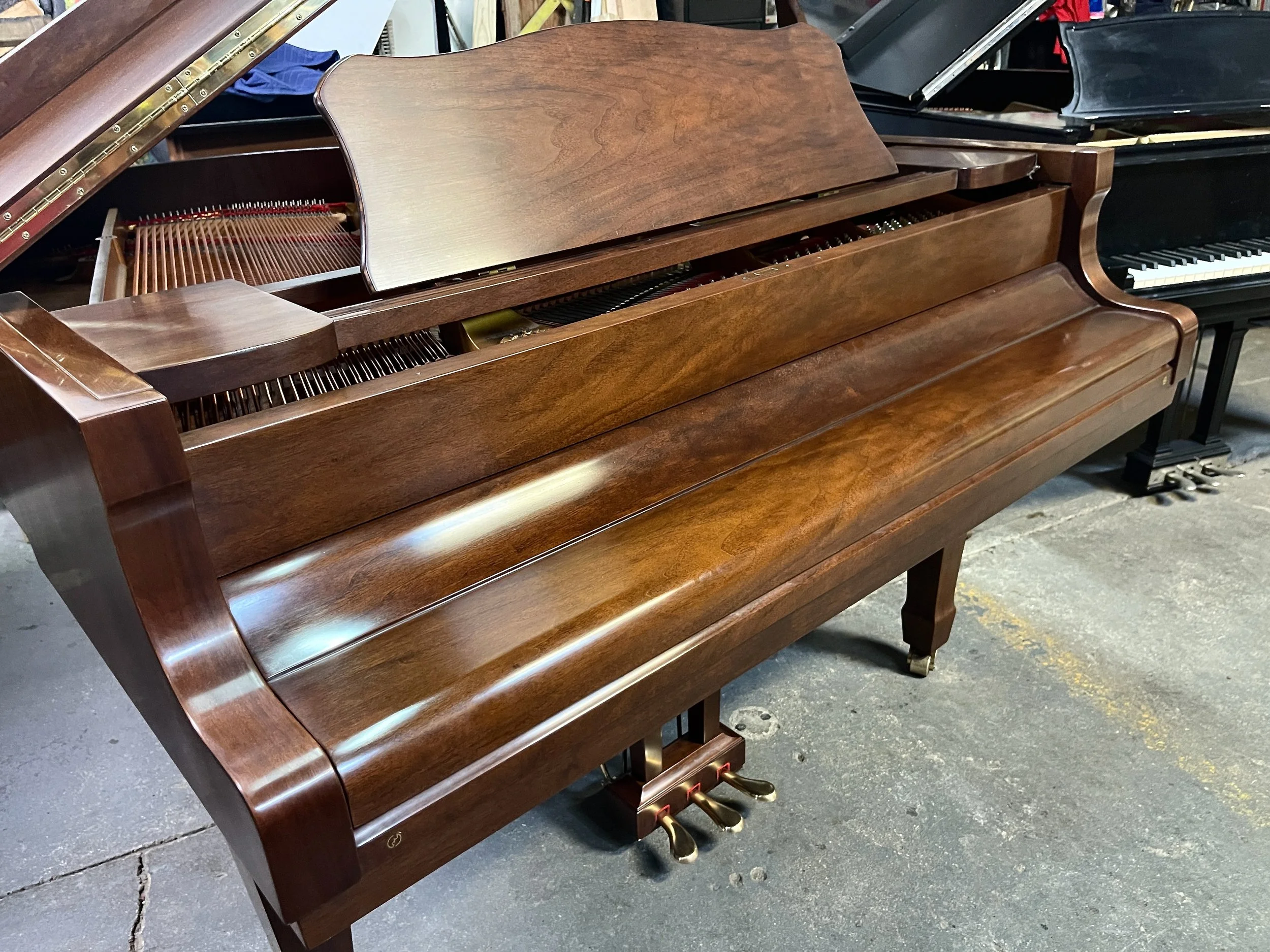 YC 157 WAL - 1 (5).jpeg