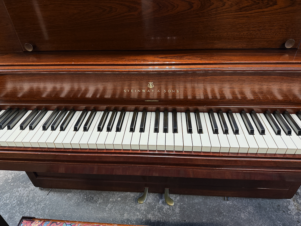 1300 stein - 1 (1).png