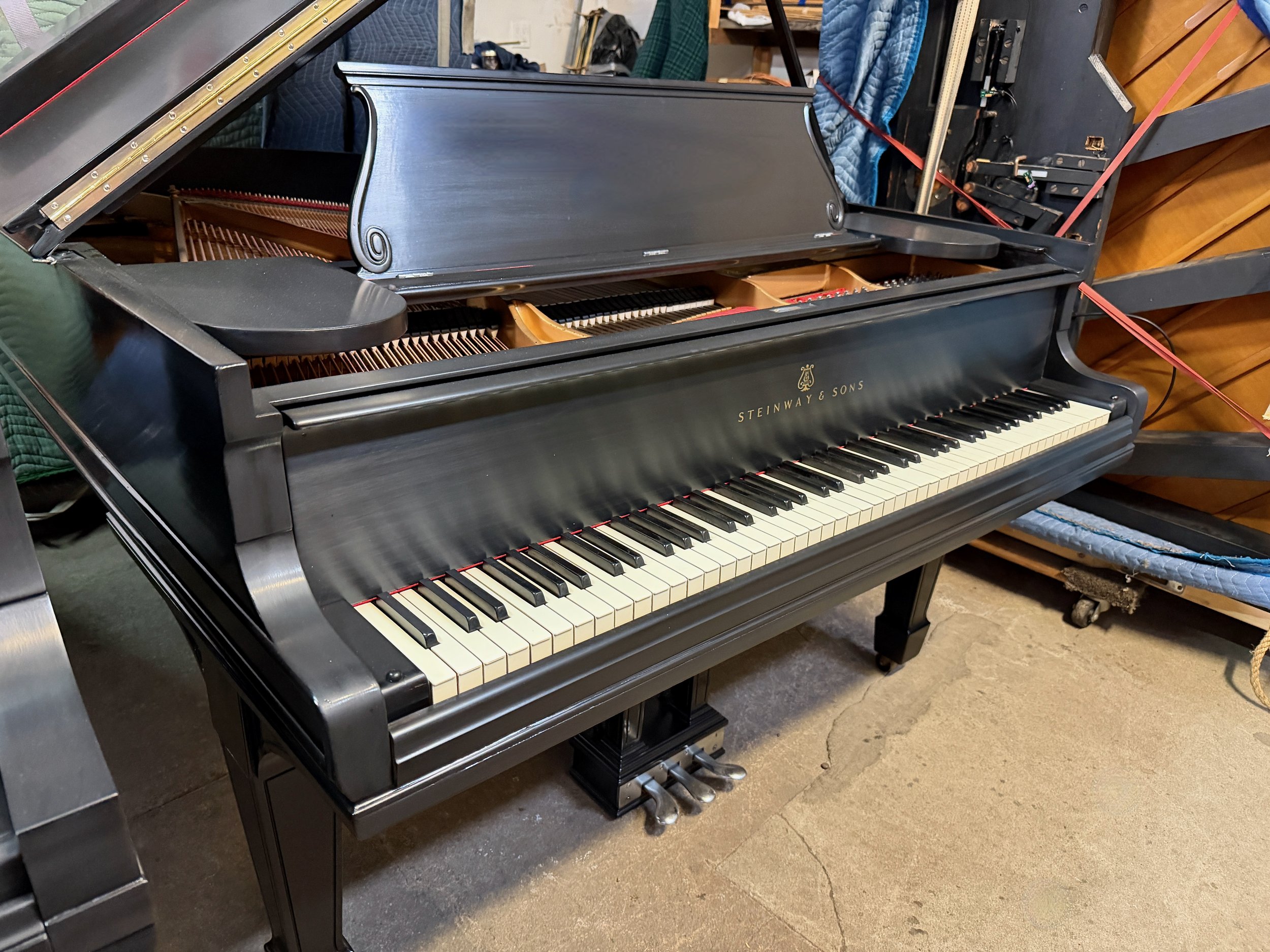 O SCHWARTZ - 1 (1).jpeg