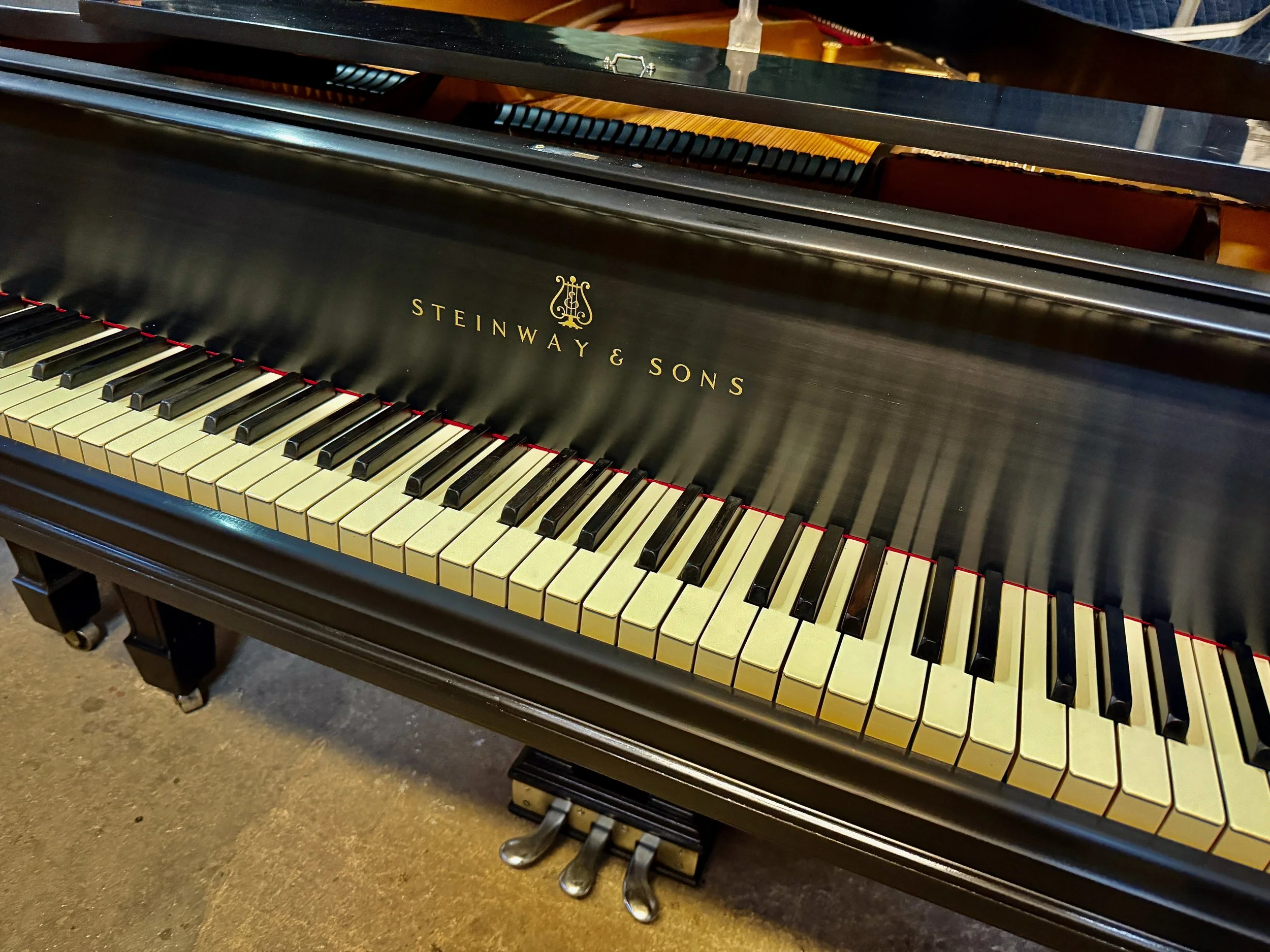 O SCHWARTZ - 1 (4).jpeg