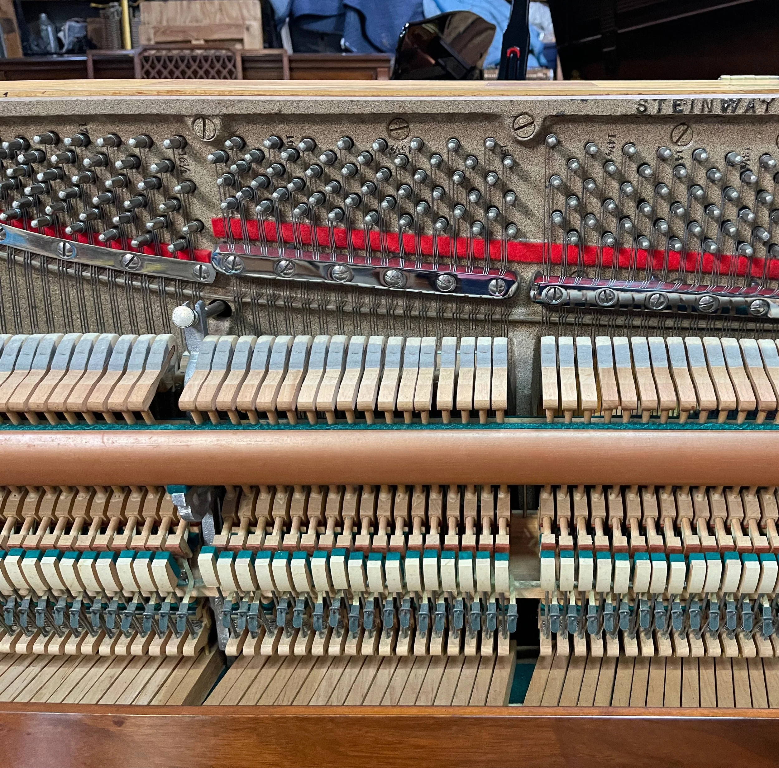 STEIN W U - 1 (12).jpeg