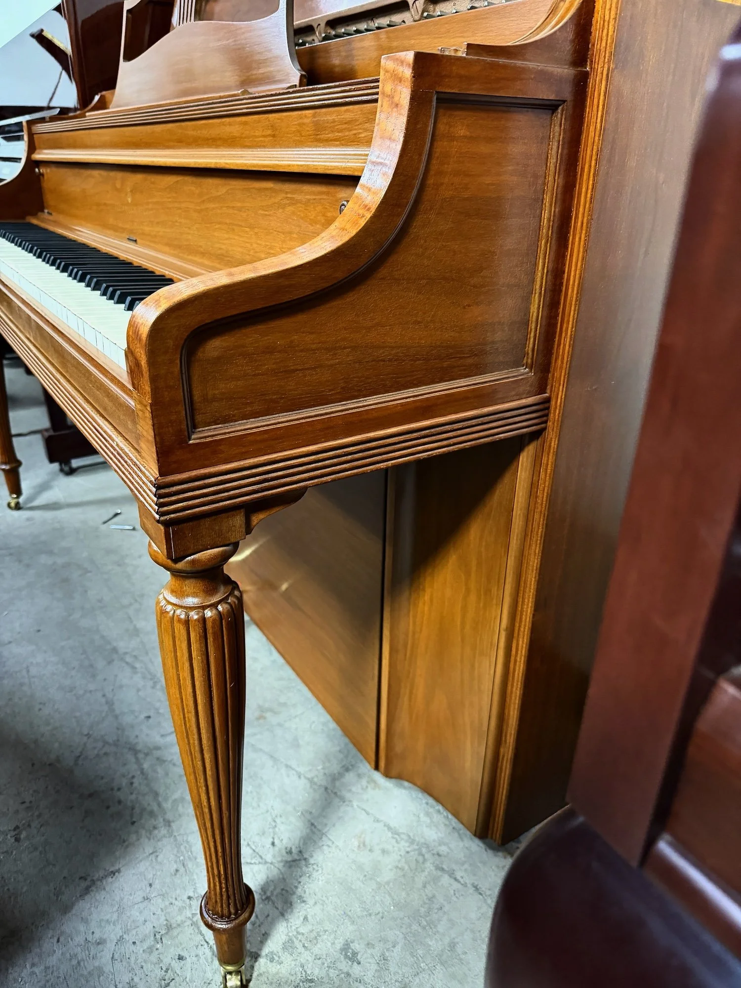 STEiN 100 - 1 (3).jpeg