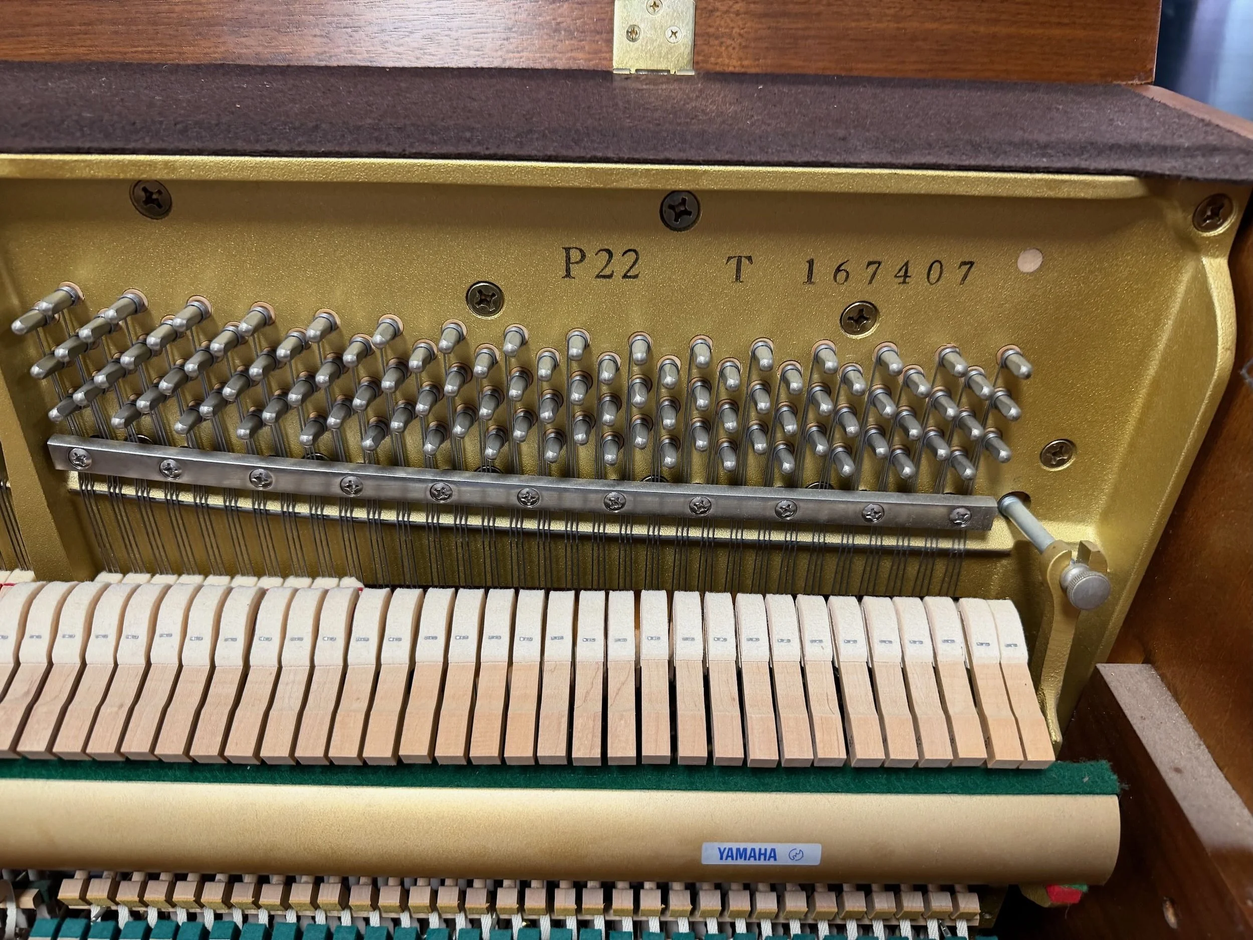 P22 167 - 1 (6).jpeg