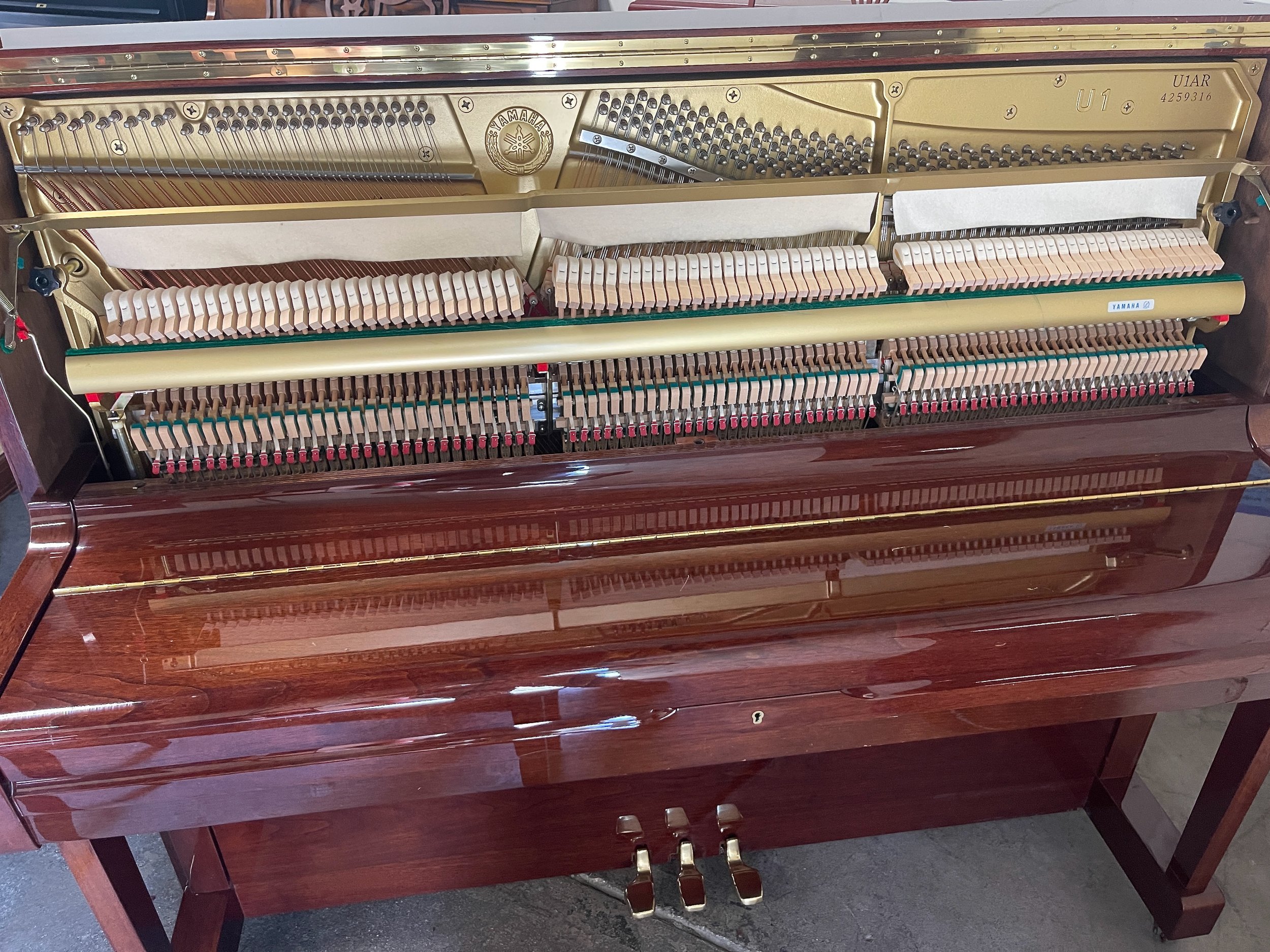 U1 AR WAL - 1 (4).jpeg