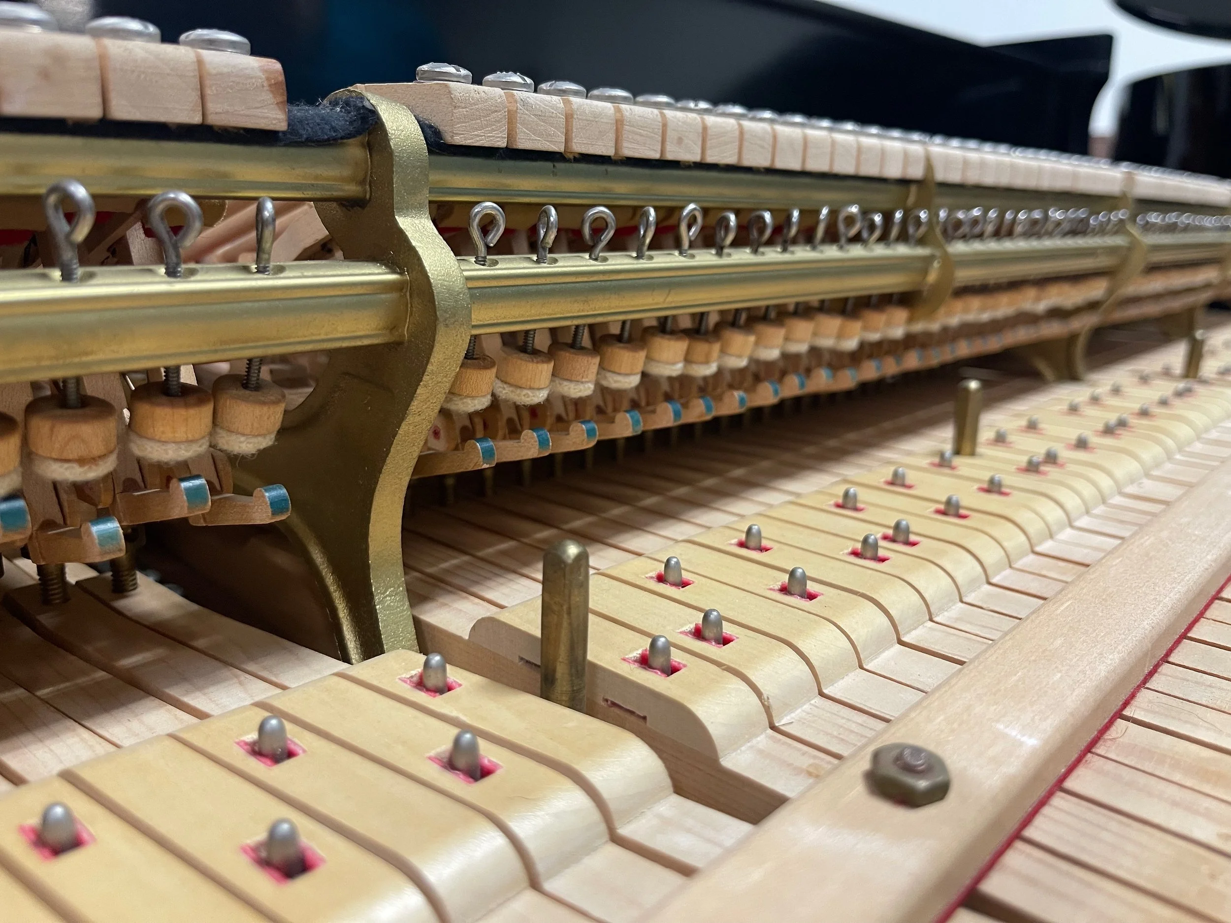 molfetta m - 1 (10).jpeg