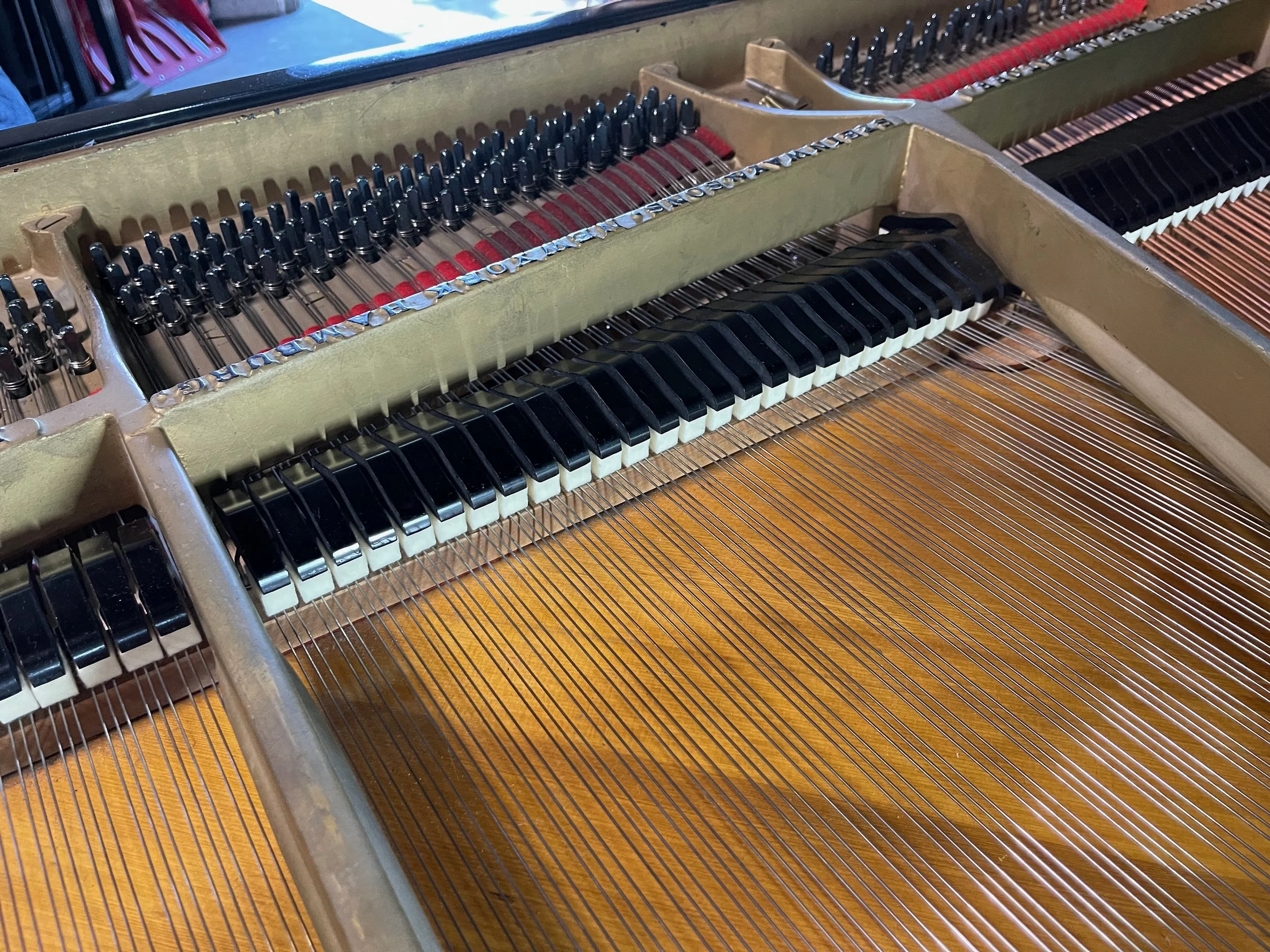 STeiNwAY PLAYER - 1 (5).jpeg