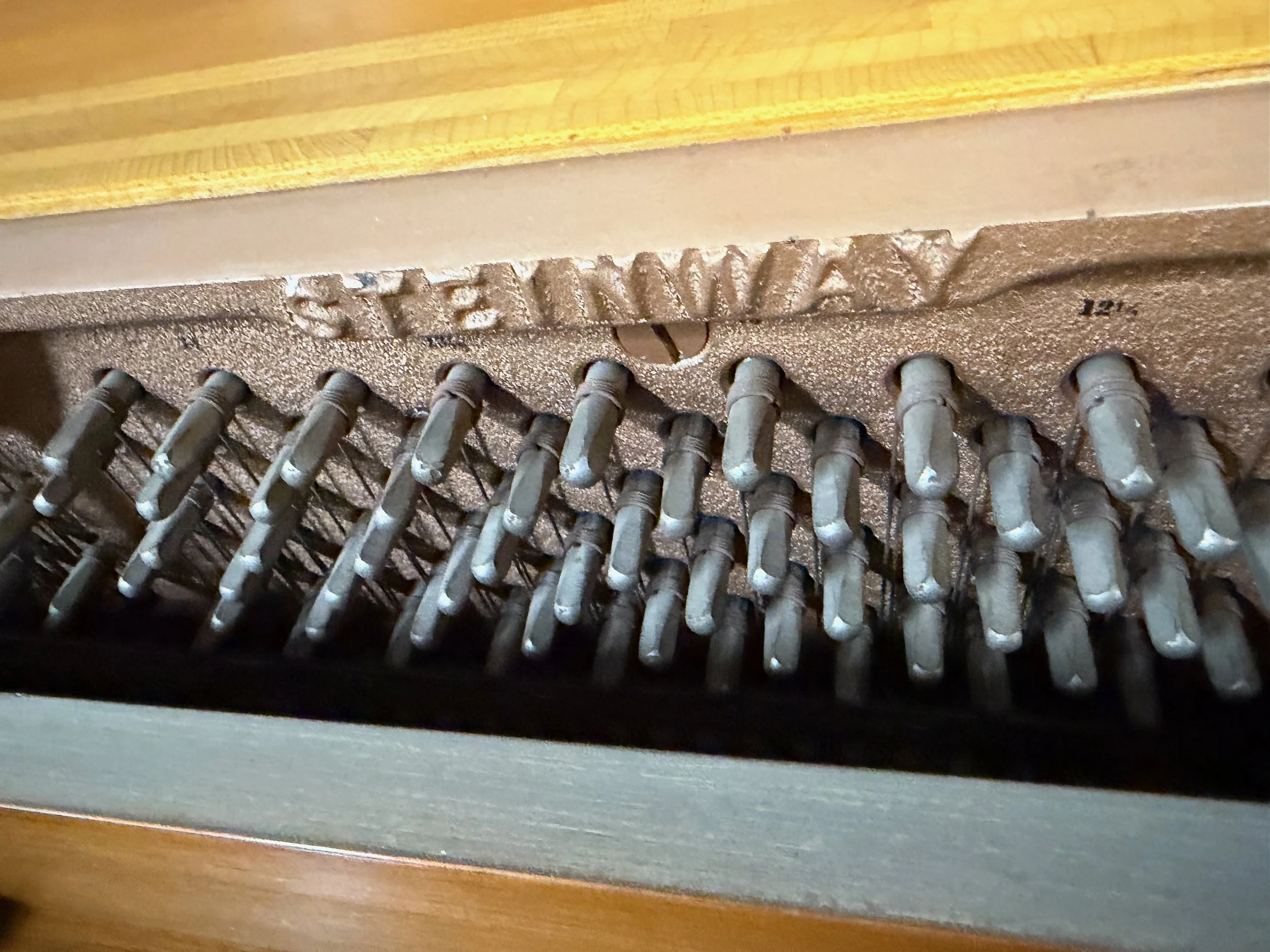 STEiN 100 - 1 (1).jpeg