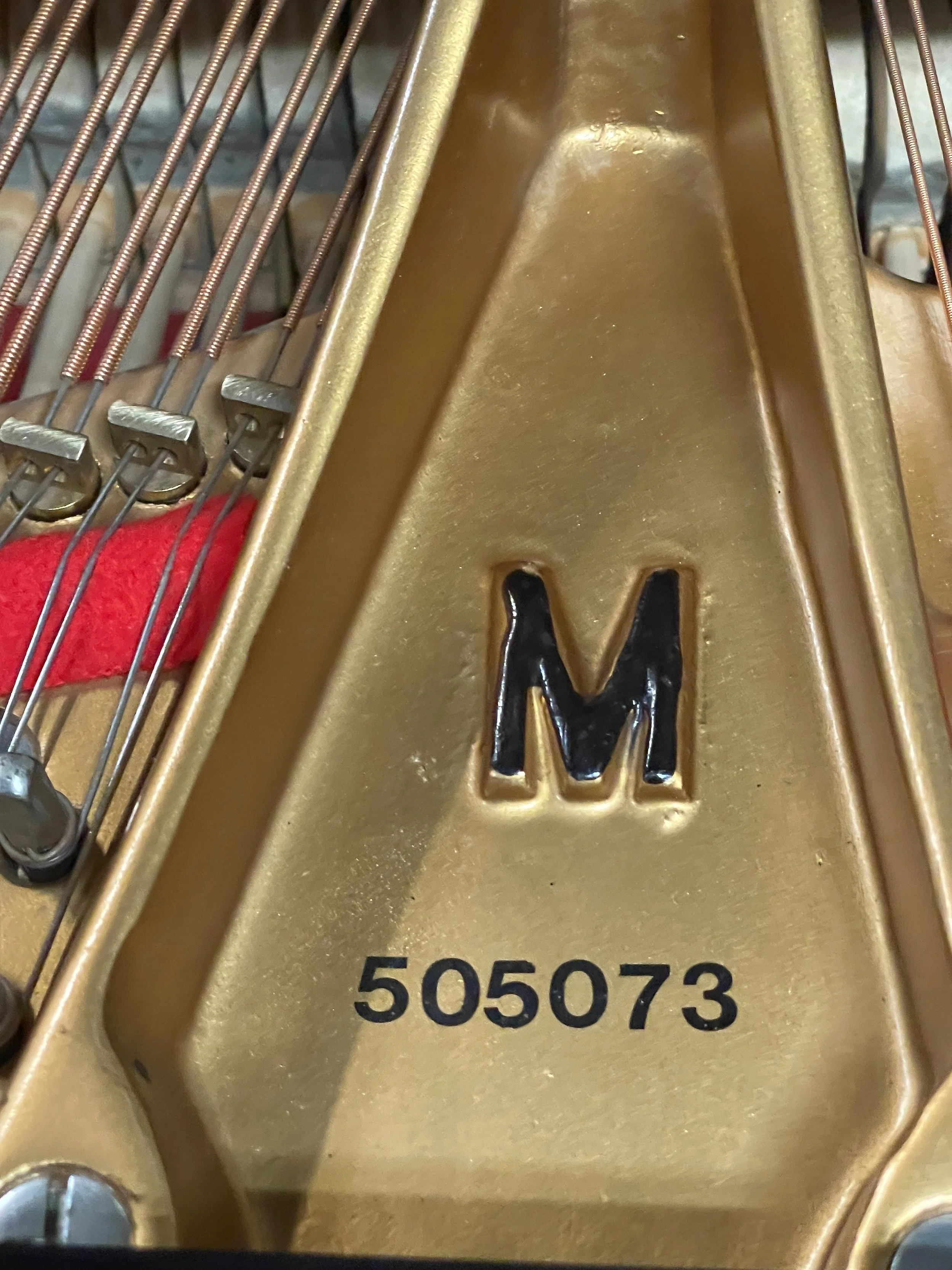 molfetta m - 1 (2).jpeg