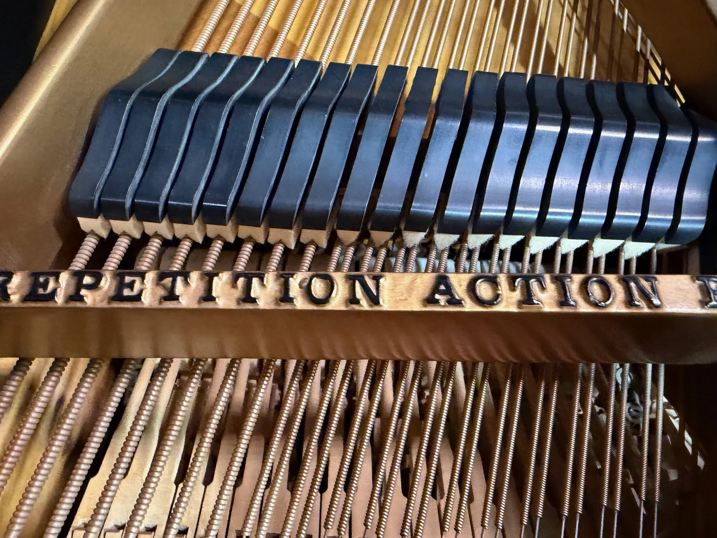 A SPERGAL - 1 (16).jpeg