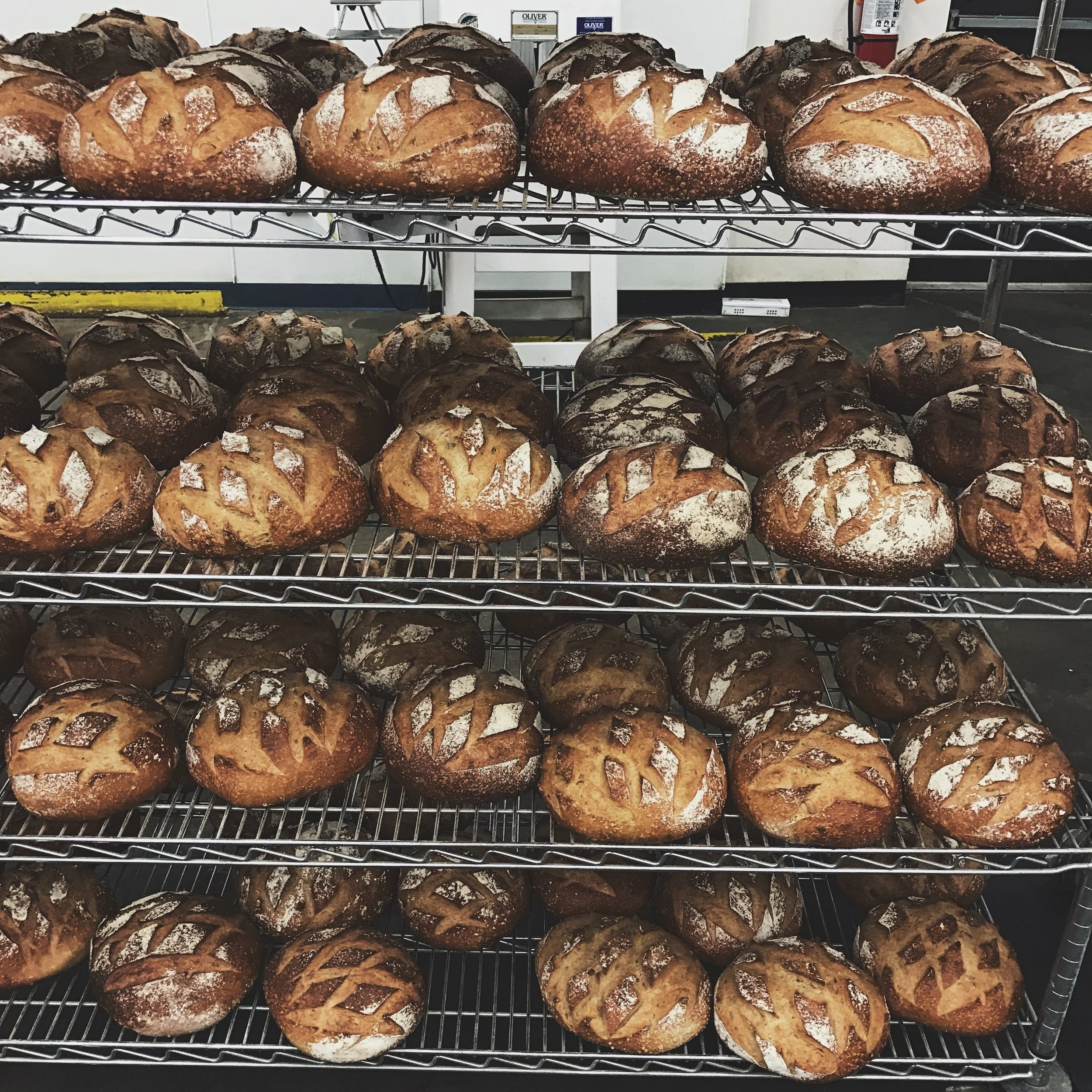 Bread Billows