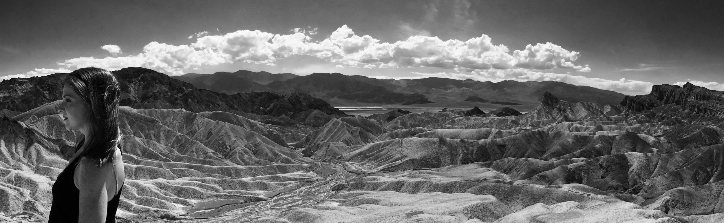 Profile at Zabriskie