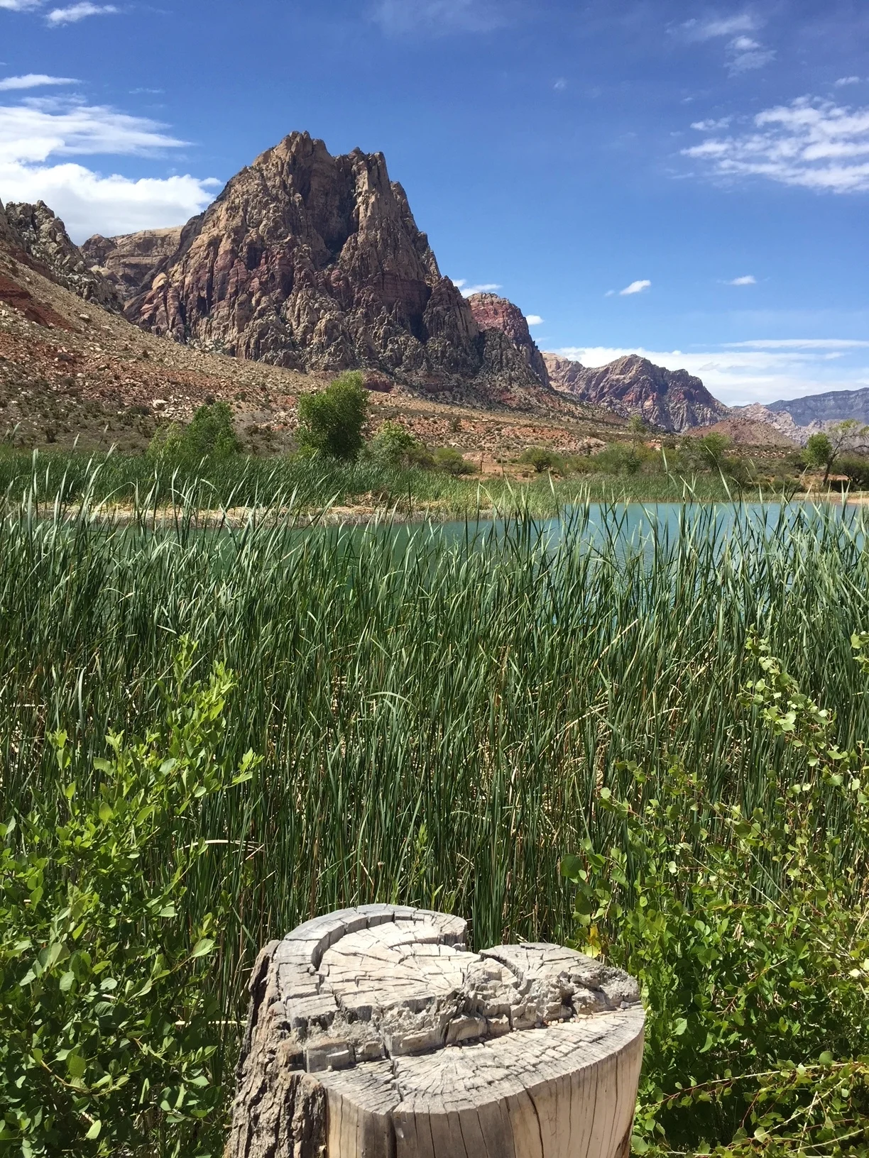 Spring Mountain Ranch