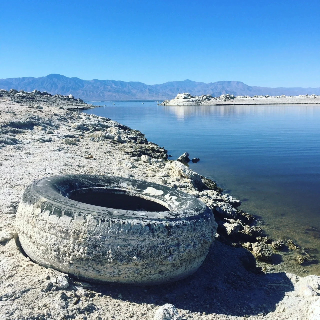 Salton Sea