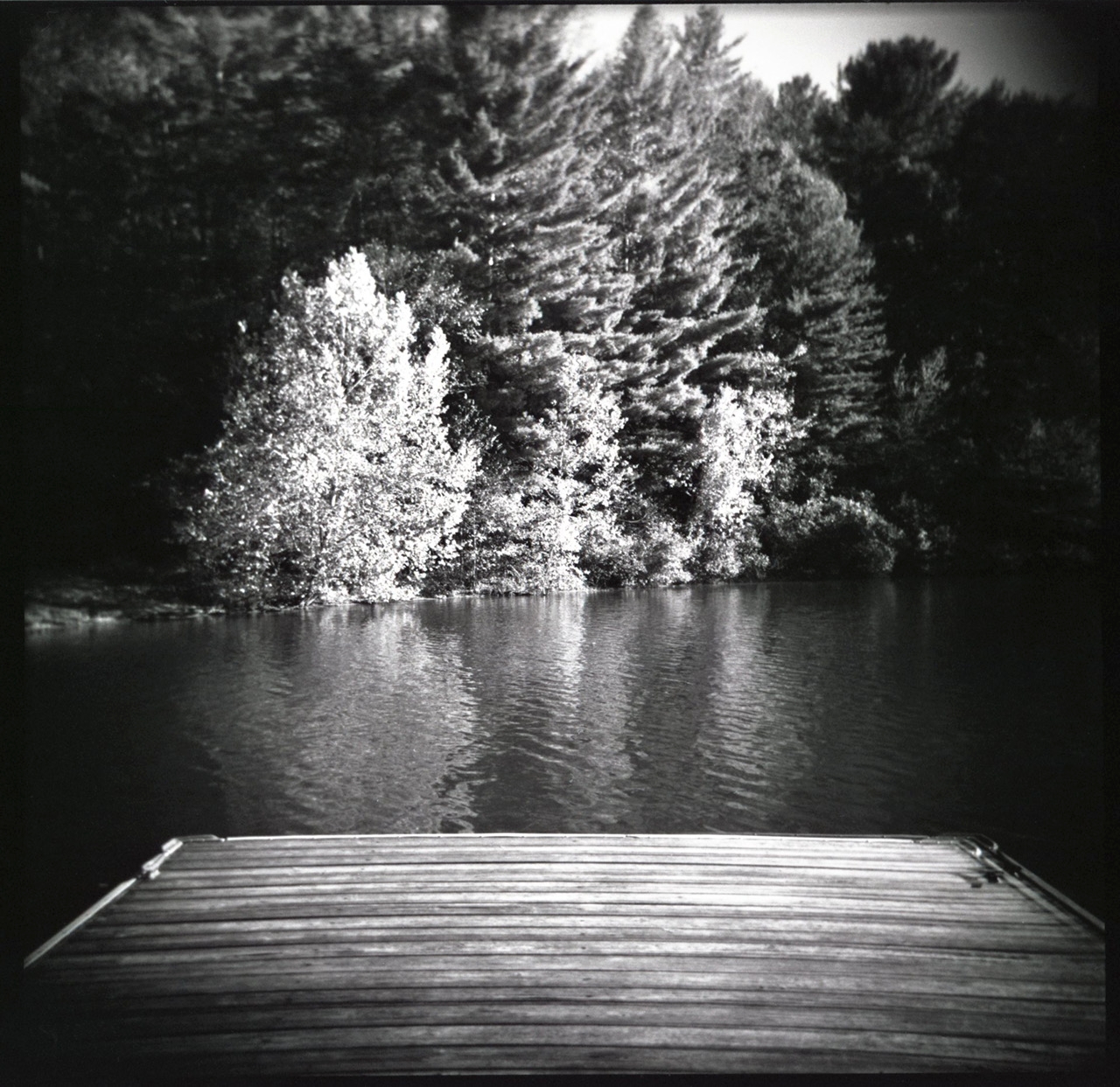 The Dock