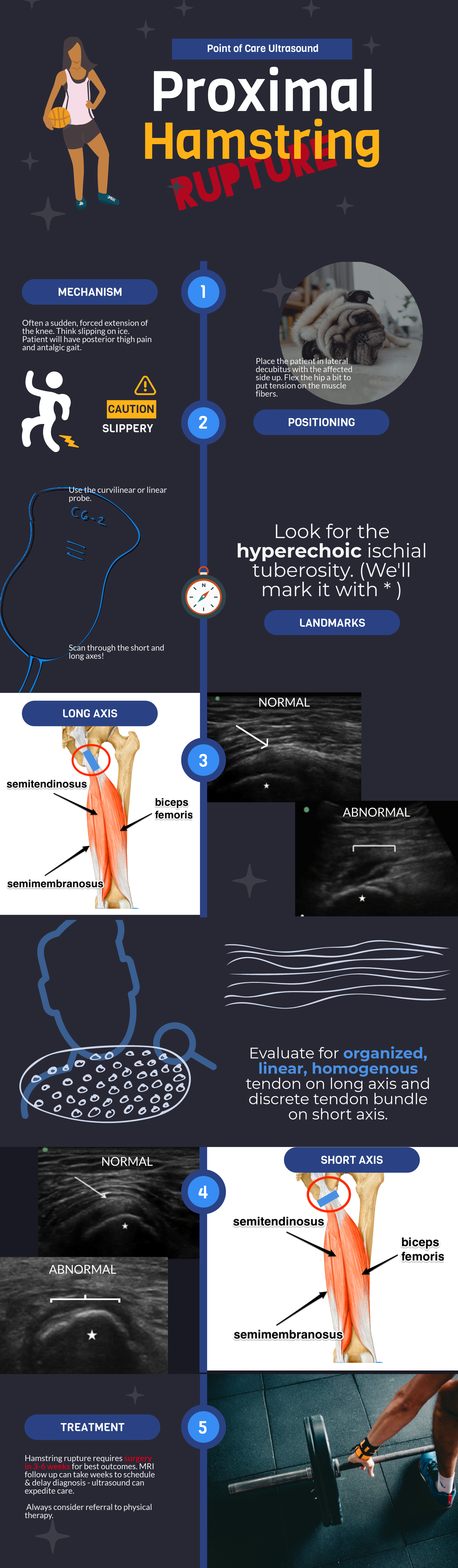 proximal-5c-20h_35319097.png