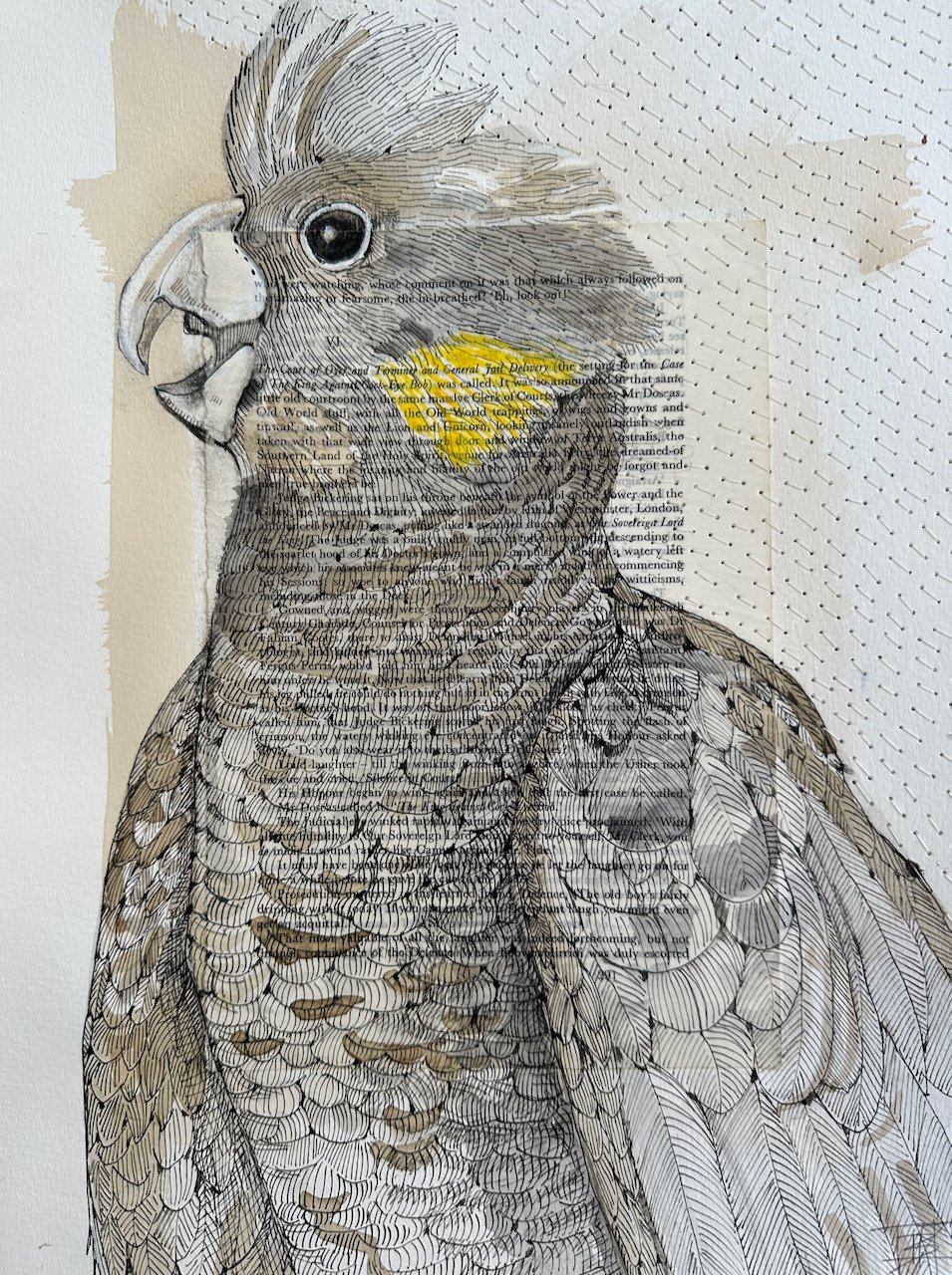 'To the Horizon I Would Fly / Profile in Black'

Zanda funerea
Yellow-tailed Black Cockatoo, Tamborine Mountain QLD

Natural inks, collage and stitching on watercolour paper.  
$500