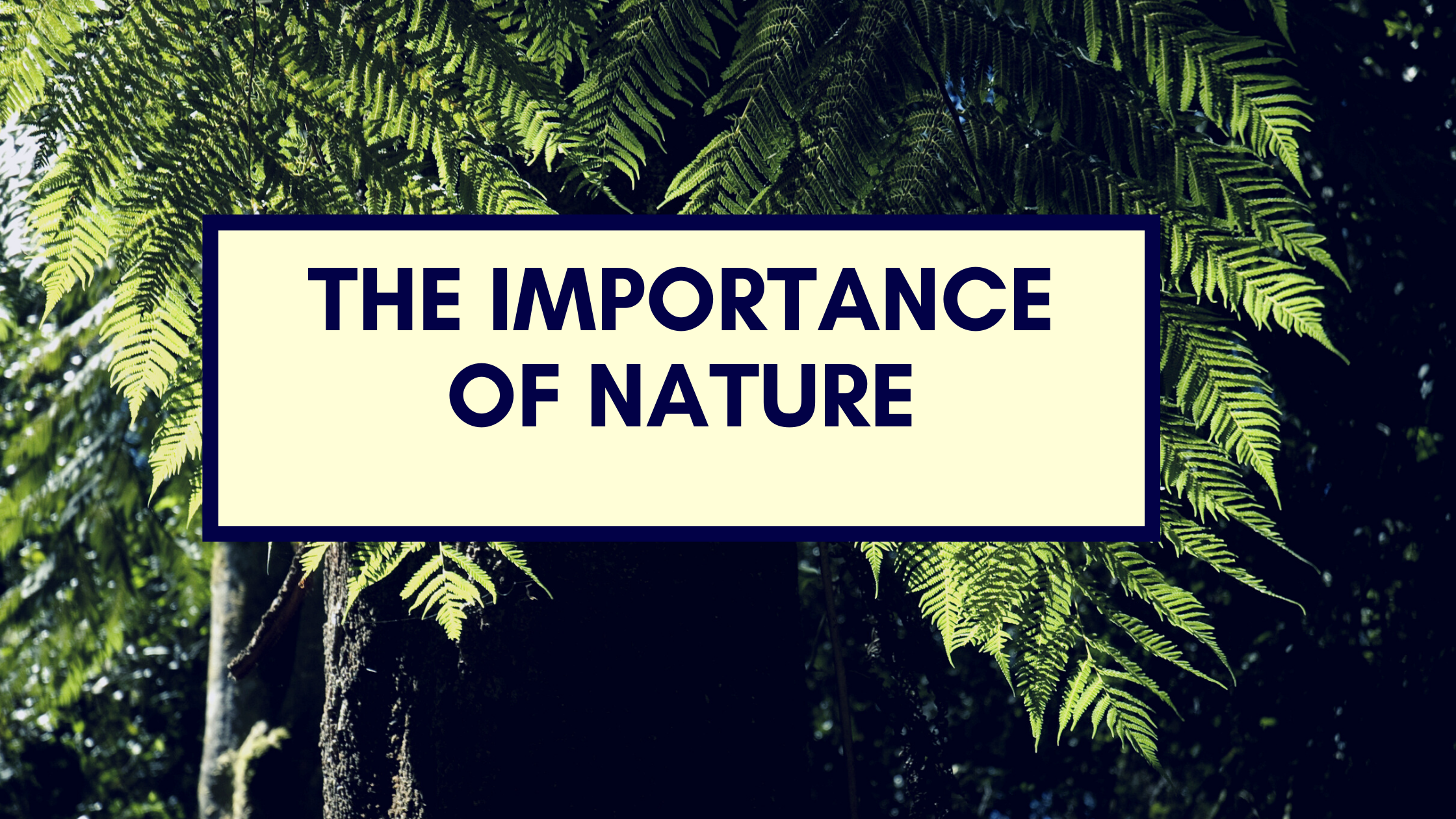 The Importance of Nature