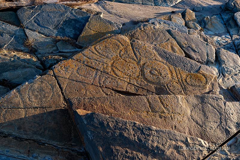 petroglyphs in the Tarkine coast photo Luke O'Brien Photography