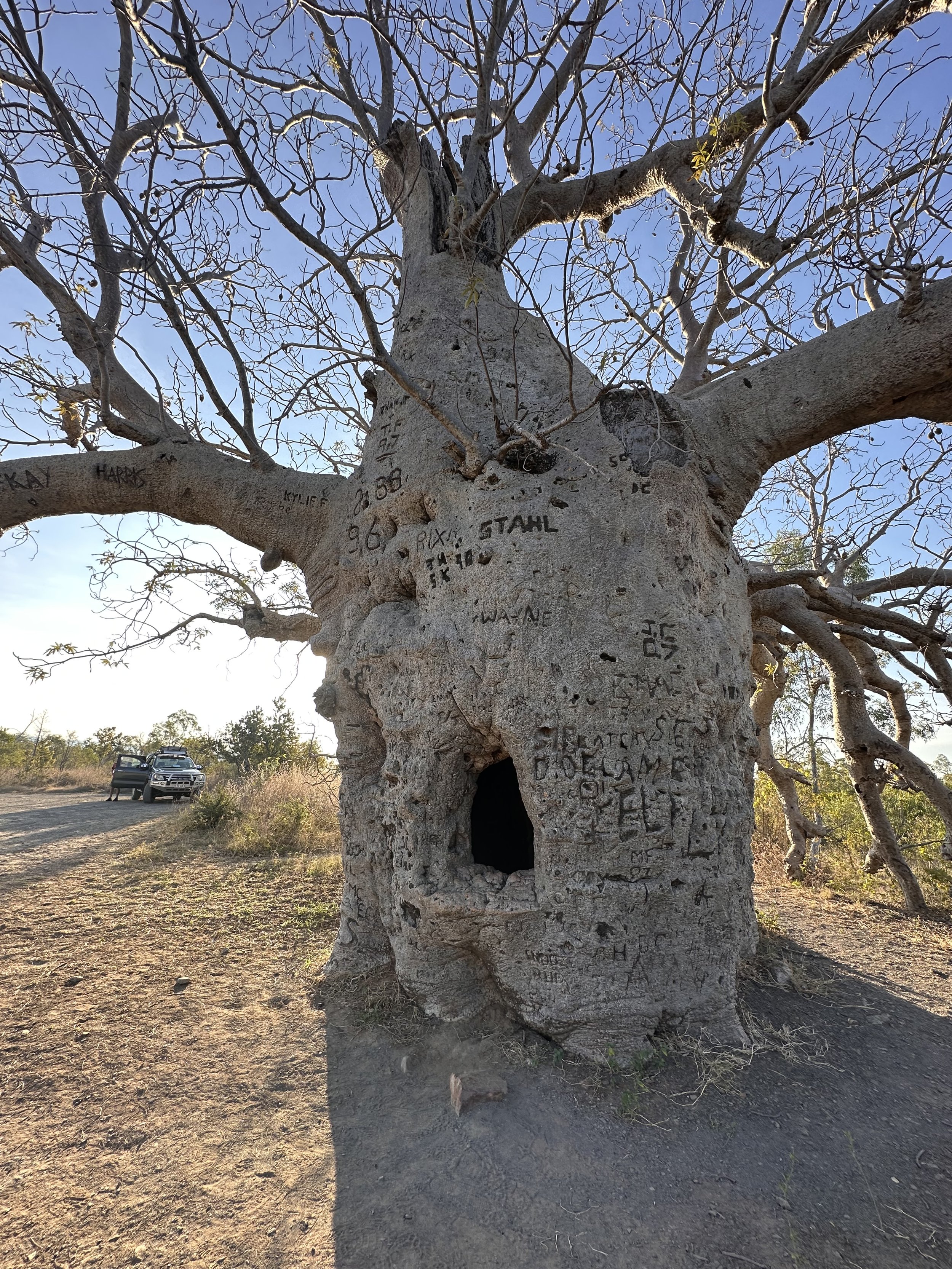 Boab country