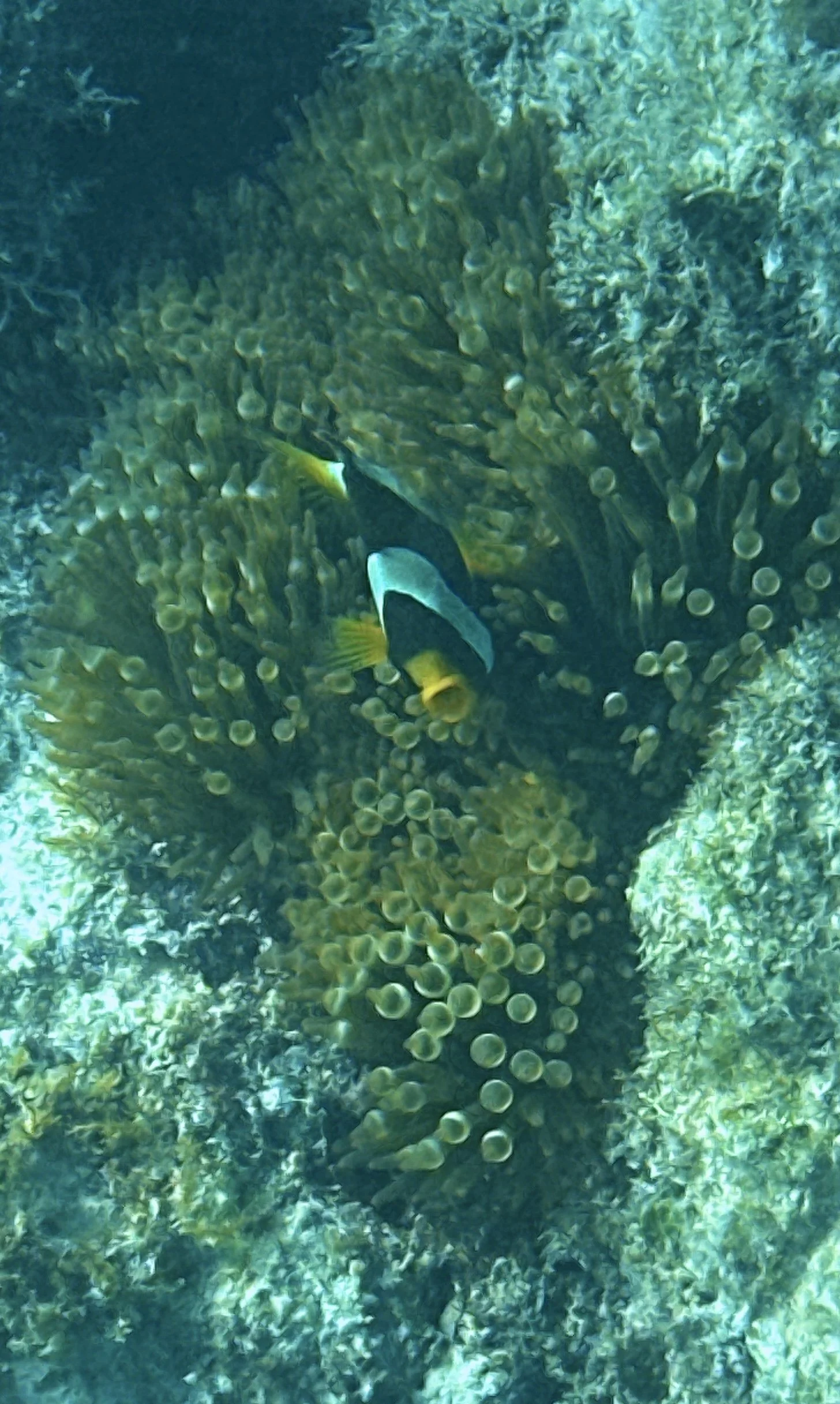 IMG_9474.JPG