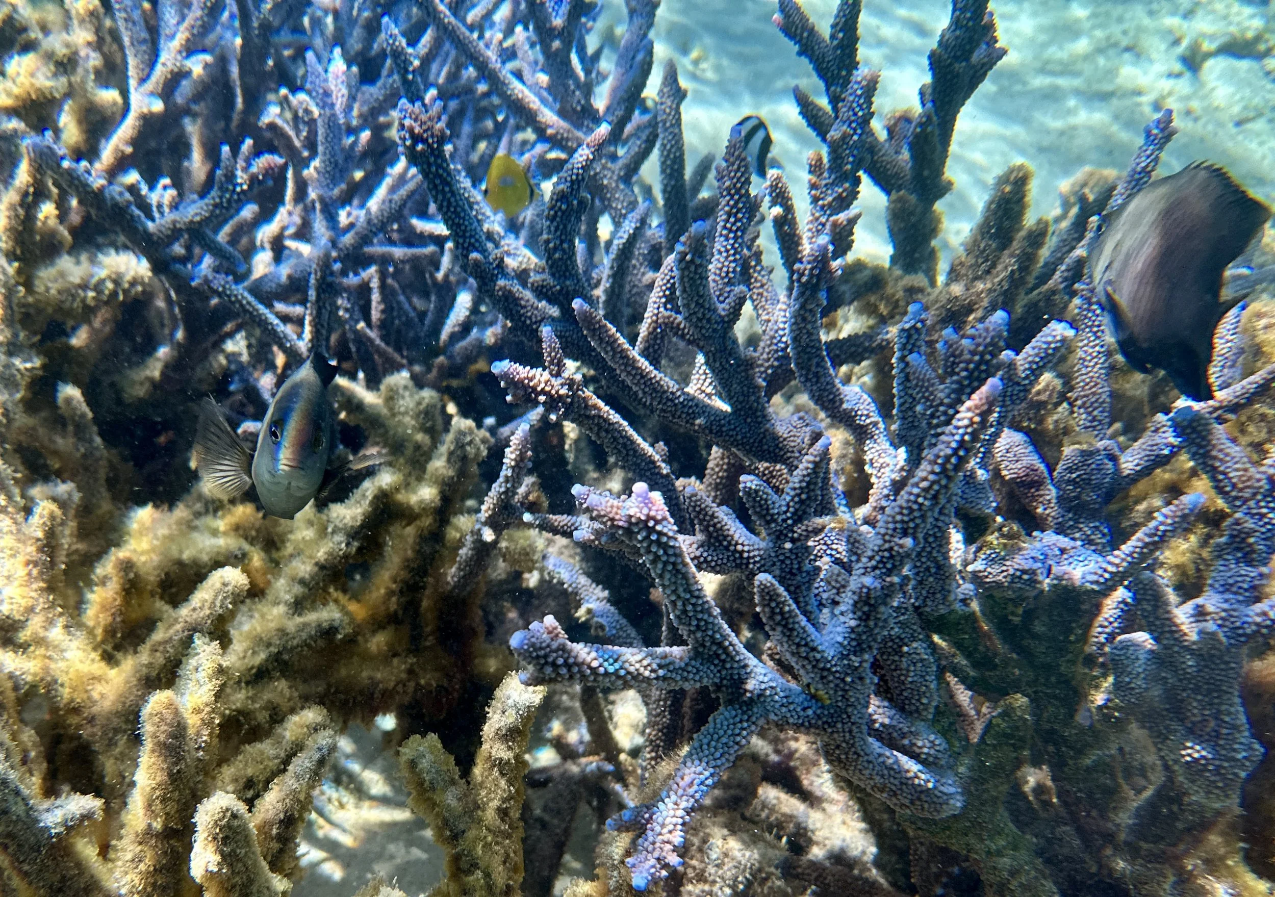 IMG_9437.JPG