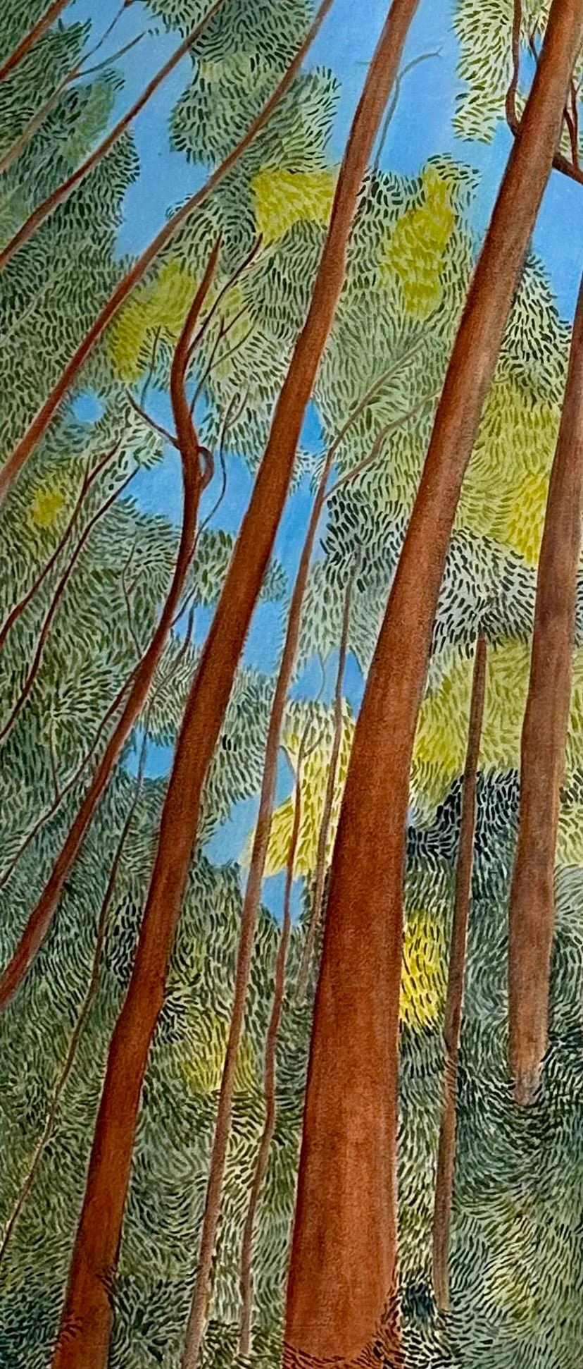 Karri_Crowned_detail_1.jpg