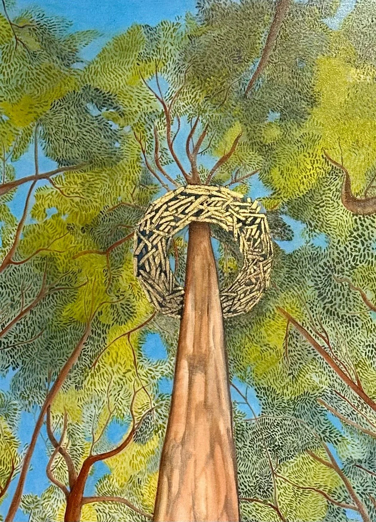 Karri_Crowned_detail_2.jpg