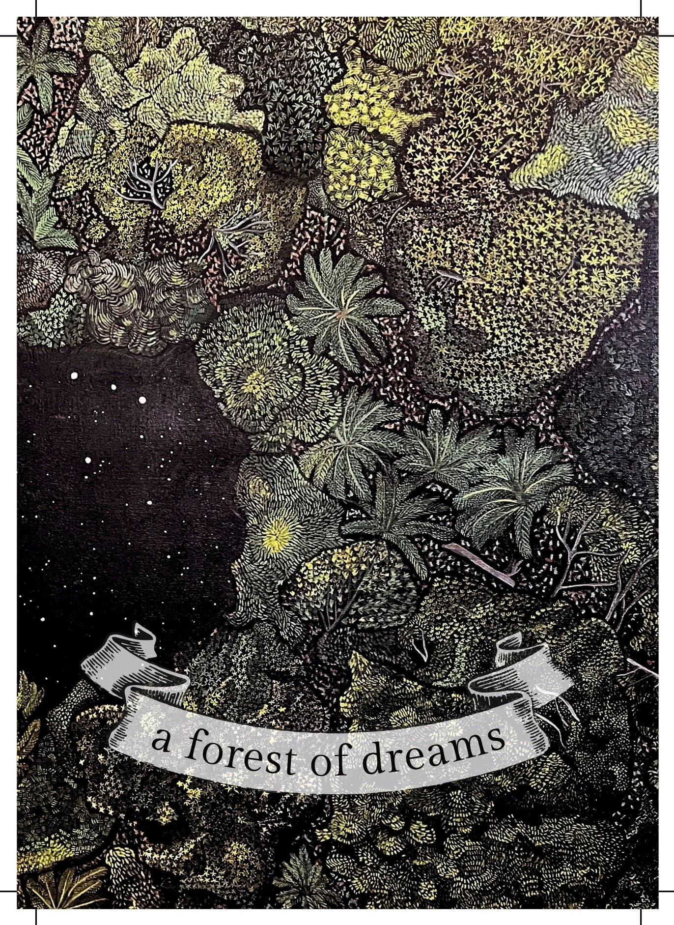 forest_of_dreams.jpg