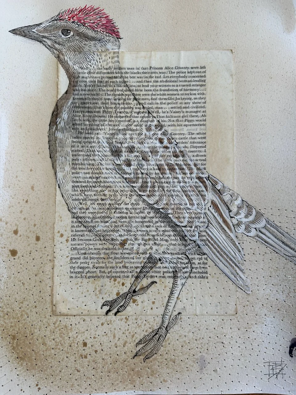 'The Collector' 
Chlamydera nuchalis
Great Bowerbird, Litchfield National Park NT
Natural inks, collage and stitching on watercolour paper
42 x 39 cm framed in oak under glass.
$500