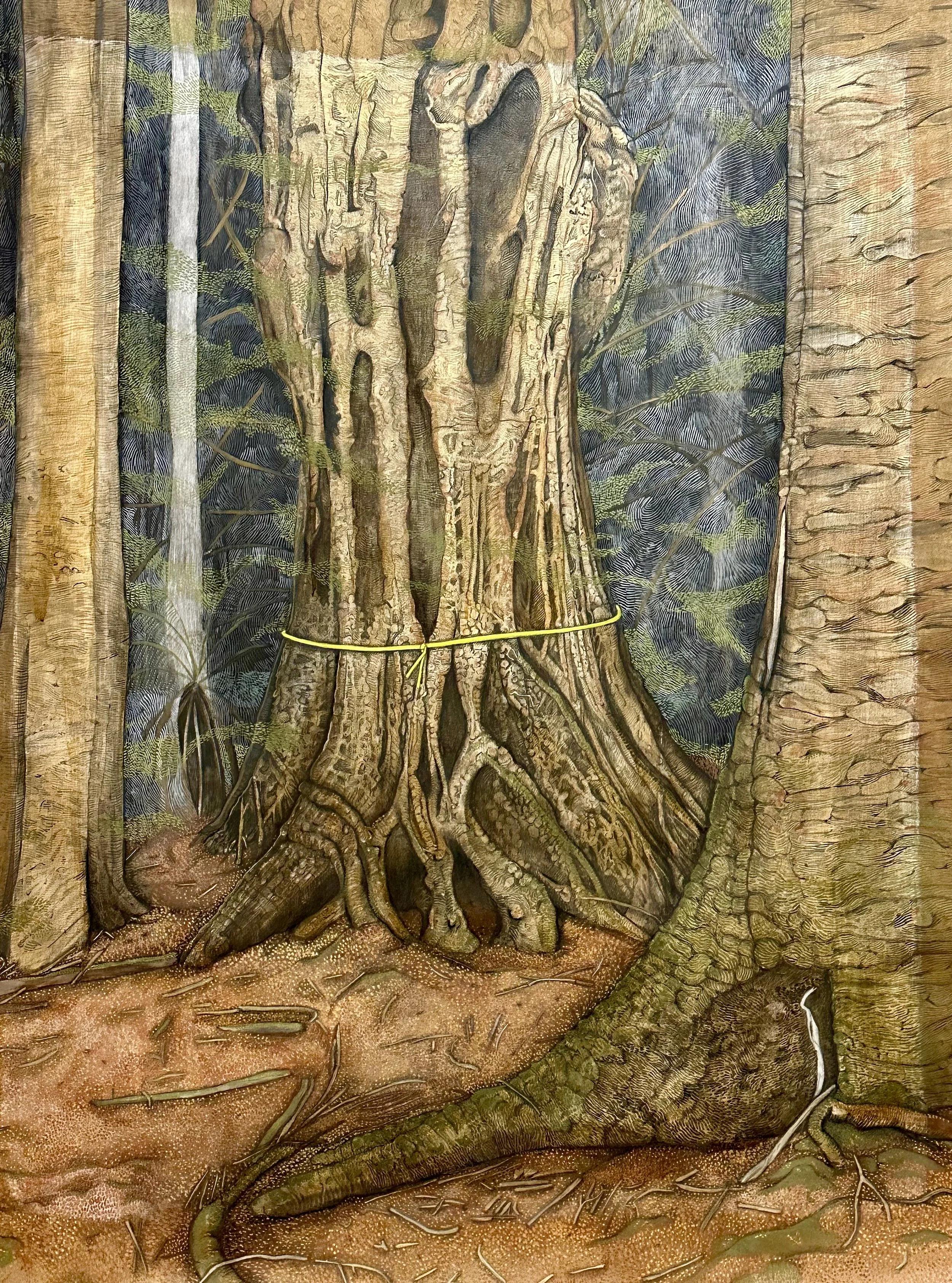 No Room For Machines 

2024

Natural inks pigments, guache, watercolour,  graphite paint on acid free paper

140 x 110 cm

Myrtle Beech Tarkine Tasmania

The Myrtle Beech (Nothofagus cunninghamii) of Tasmania’s Tarkine rainforest represents one of th