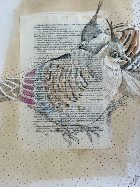 'Pilbara Trace'.
Ocyphaps lophotes
Crested Pigeon, Tom Price WA
Natural inks, collage and stitching on watercolour paper
41 x 36 cm framed in oak under glass
$500
